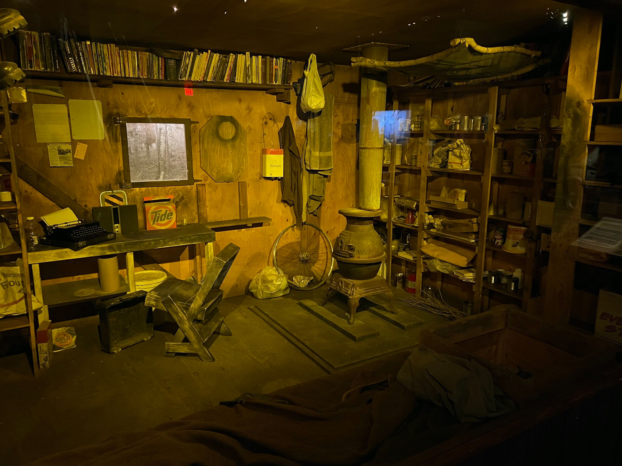 Unabomber Inside Cabin