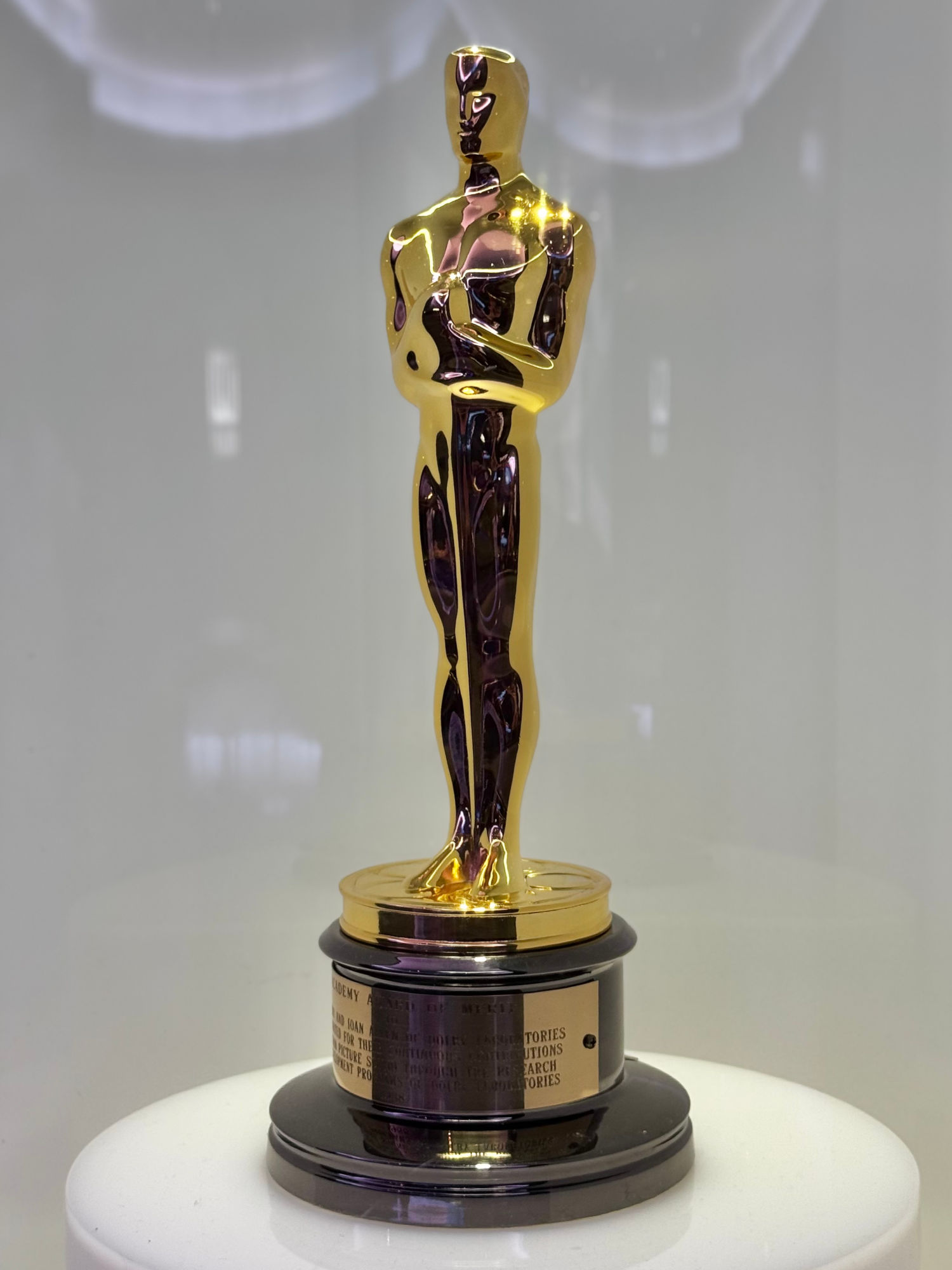 Academy Award Oscar Statuette Left Side