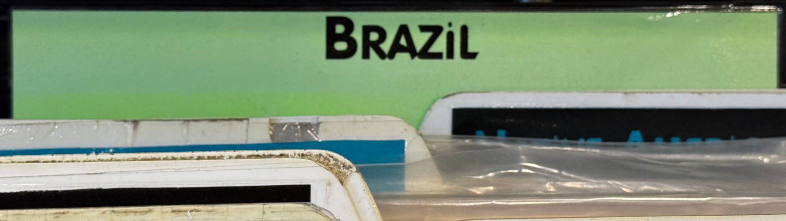 Amoeba Music Brazil