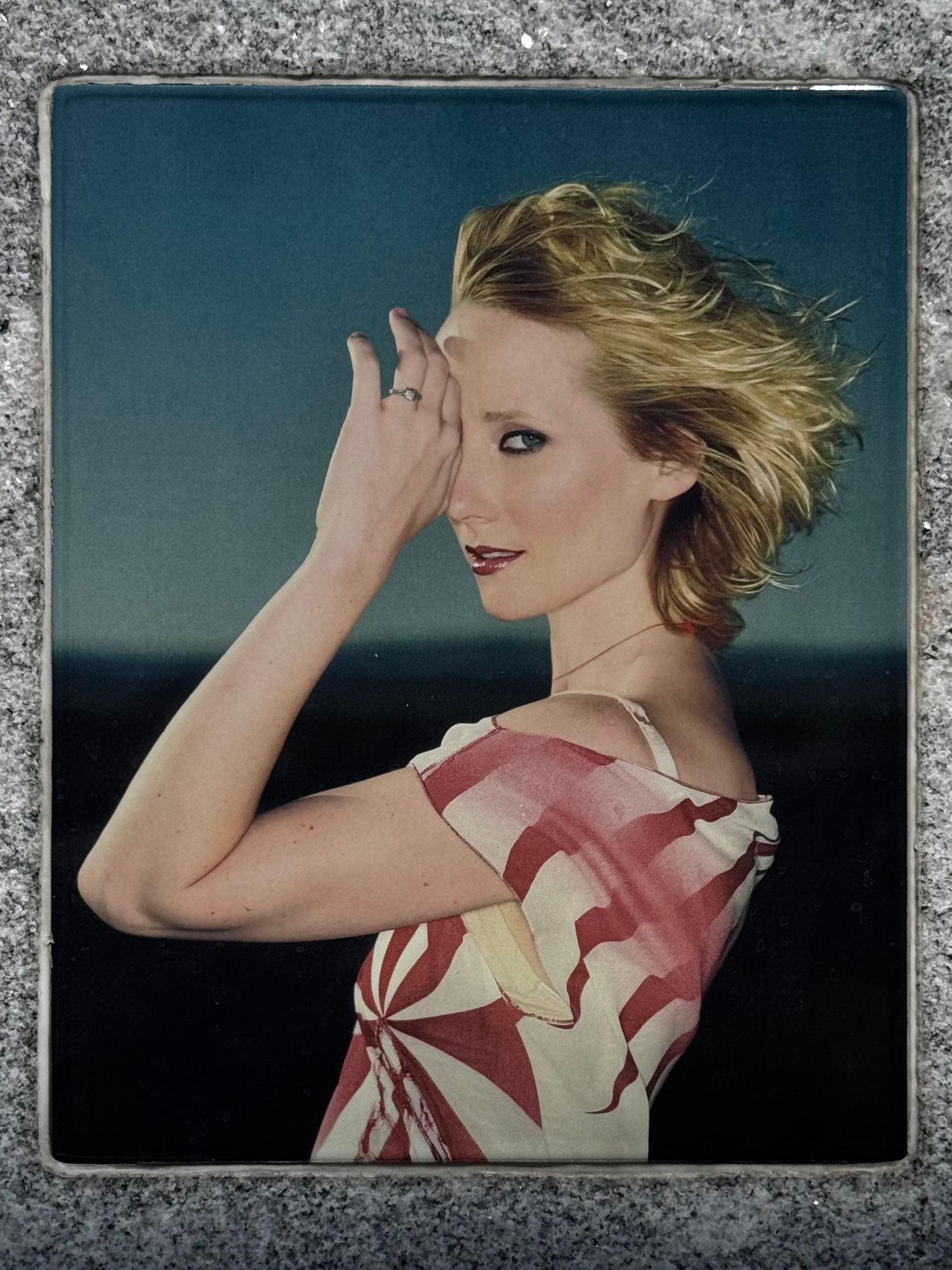 Anne Celeste Heche Photo