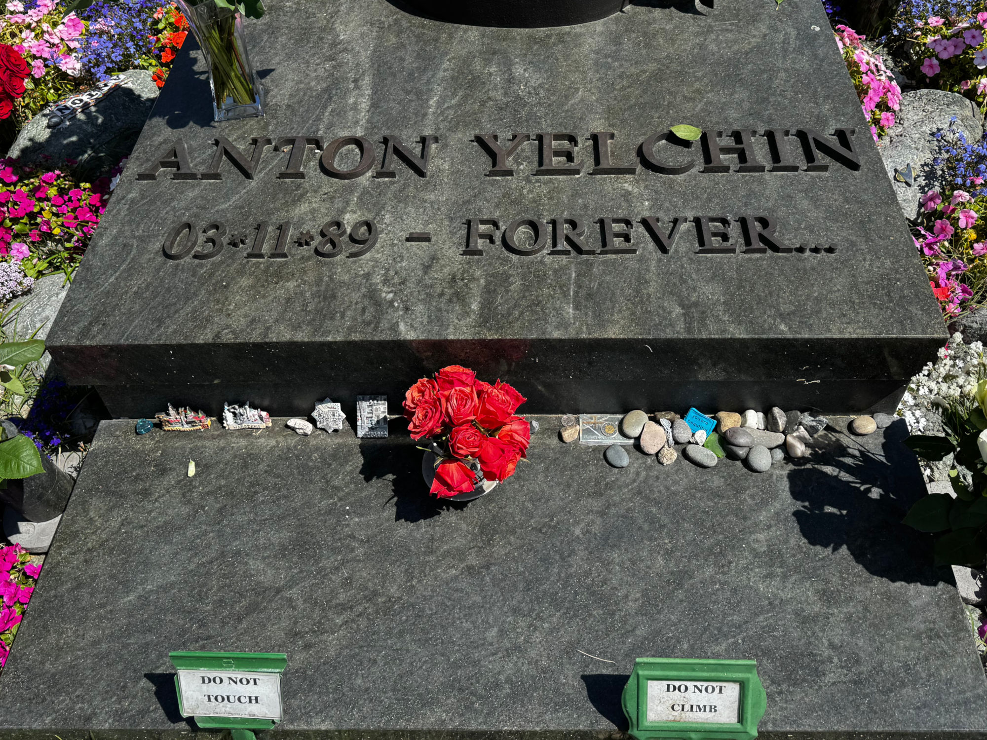 Anton Yelchin Forever