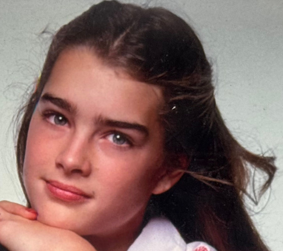 Hollywood VIPS Hollywood VIPS
