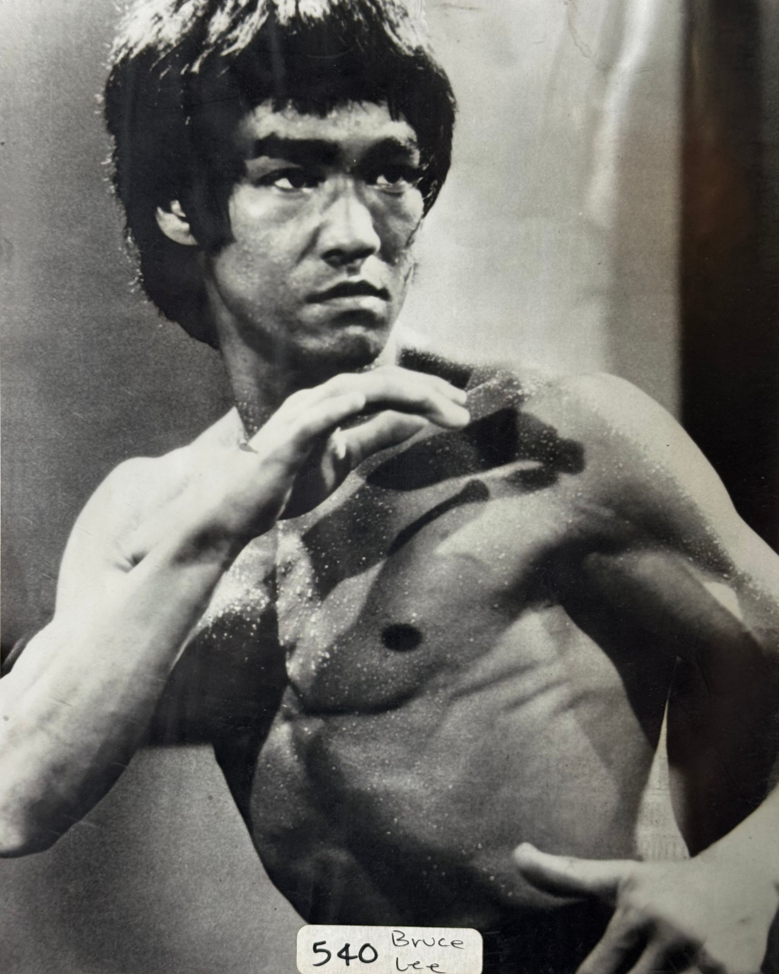 Celebrity Photo Bruce Lee