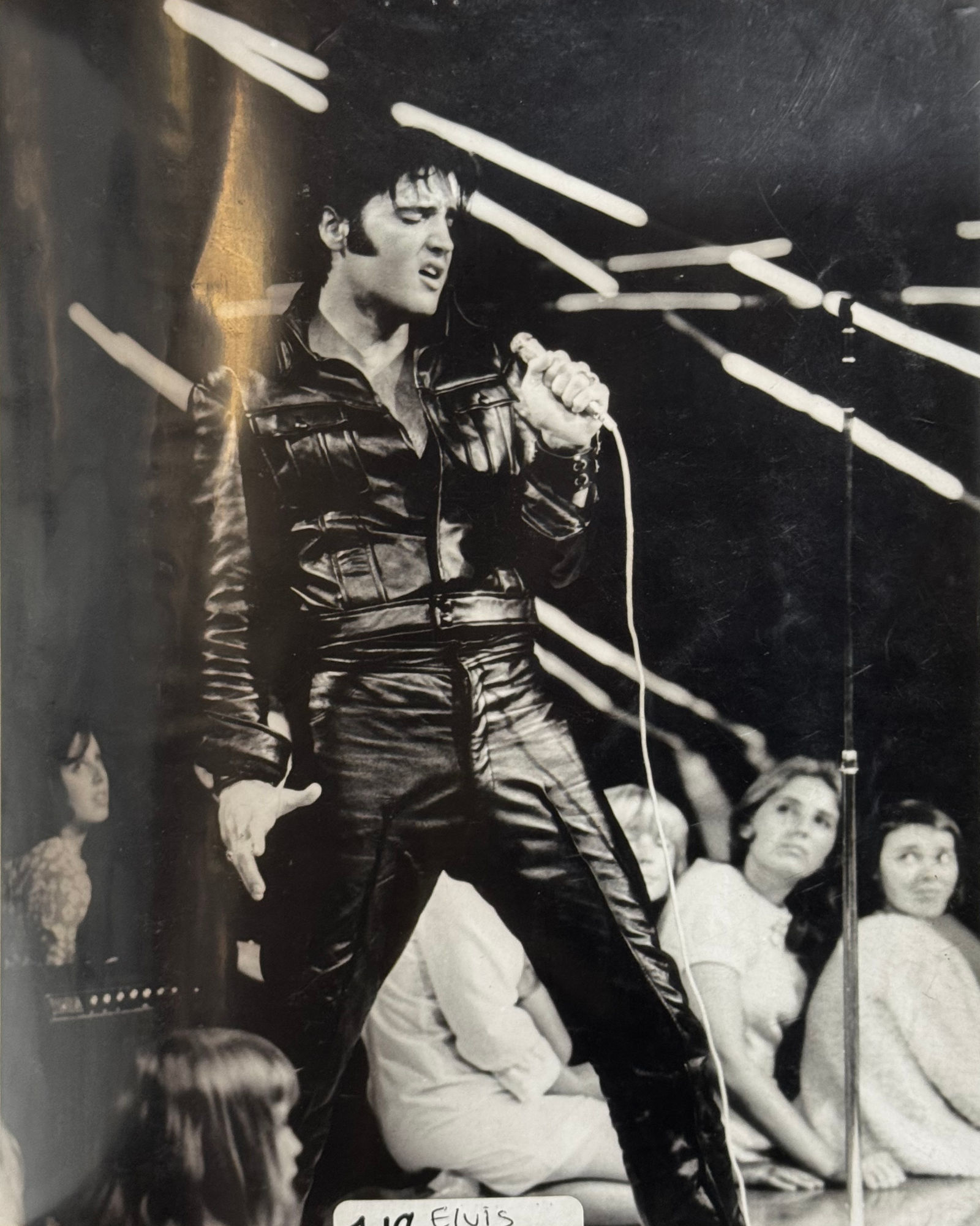 Celebrity Photo Elvis Presley