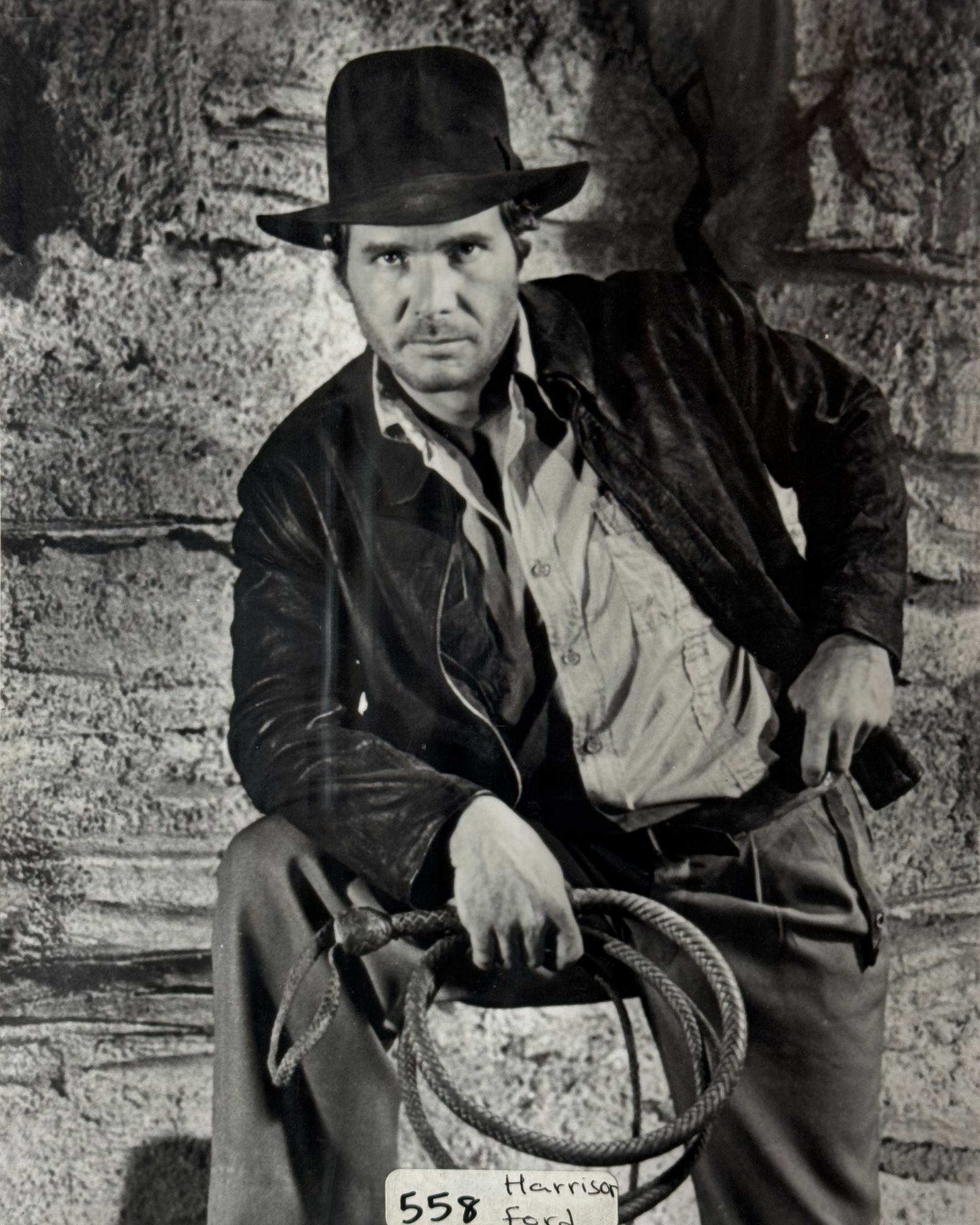 Celebrity Photo Harrison Ford
