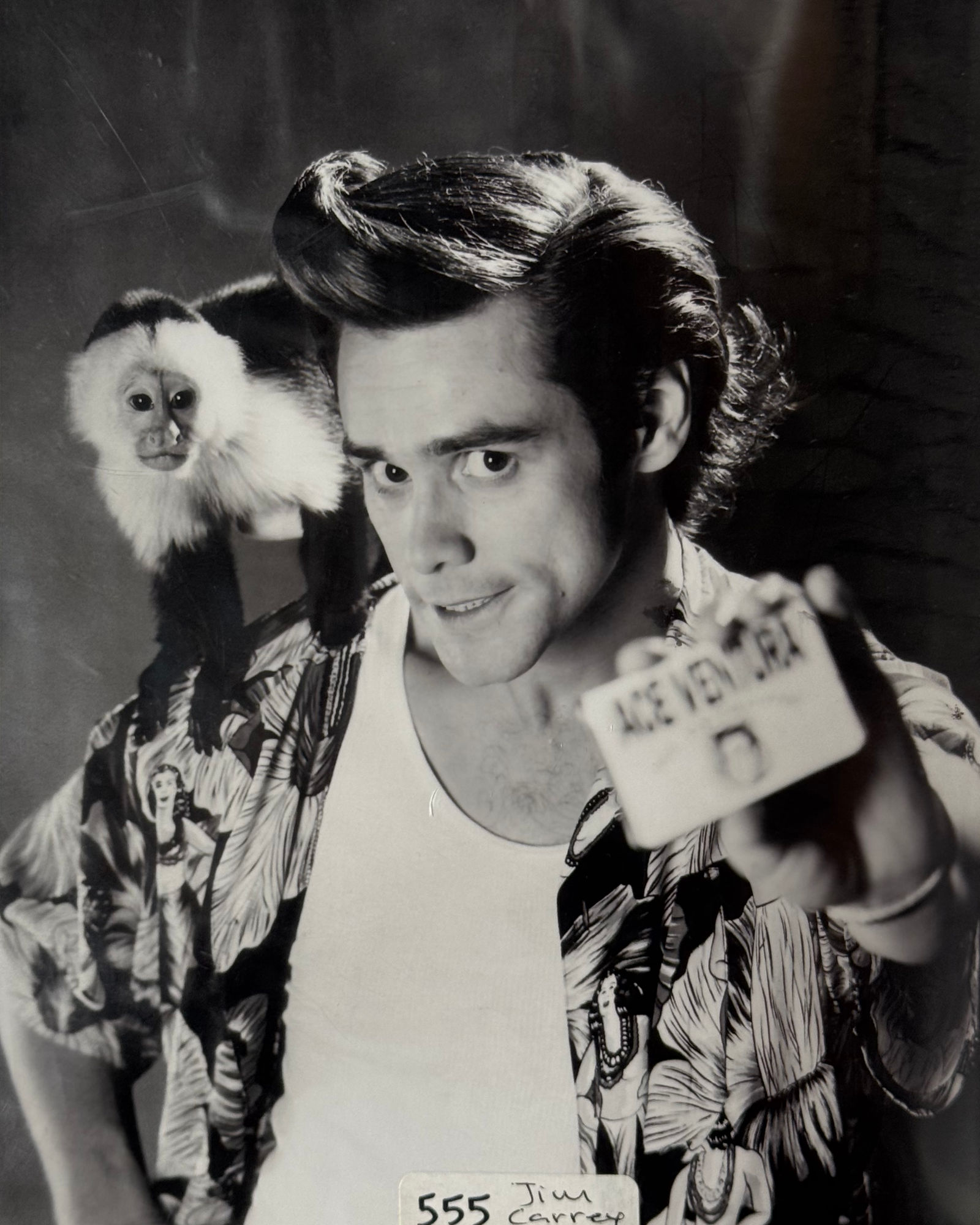 Celebrity Photo Jim Carrey