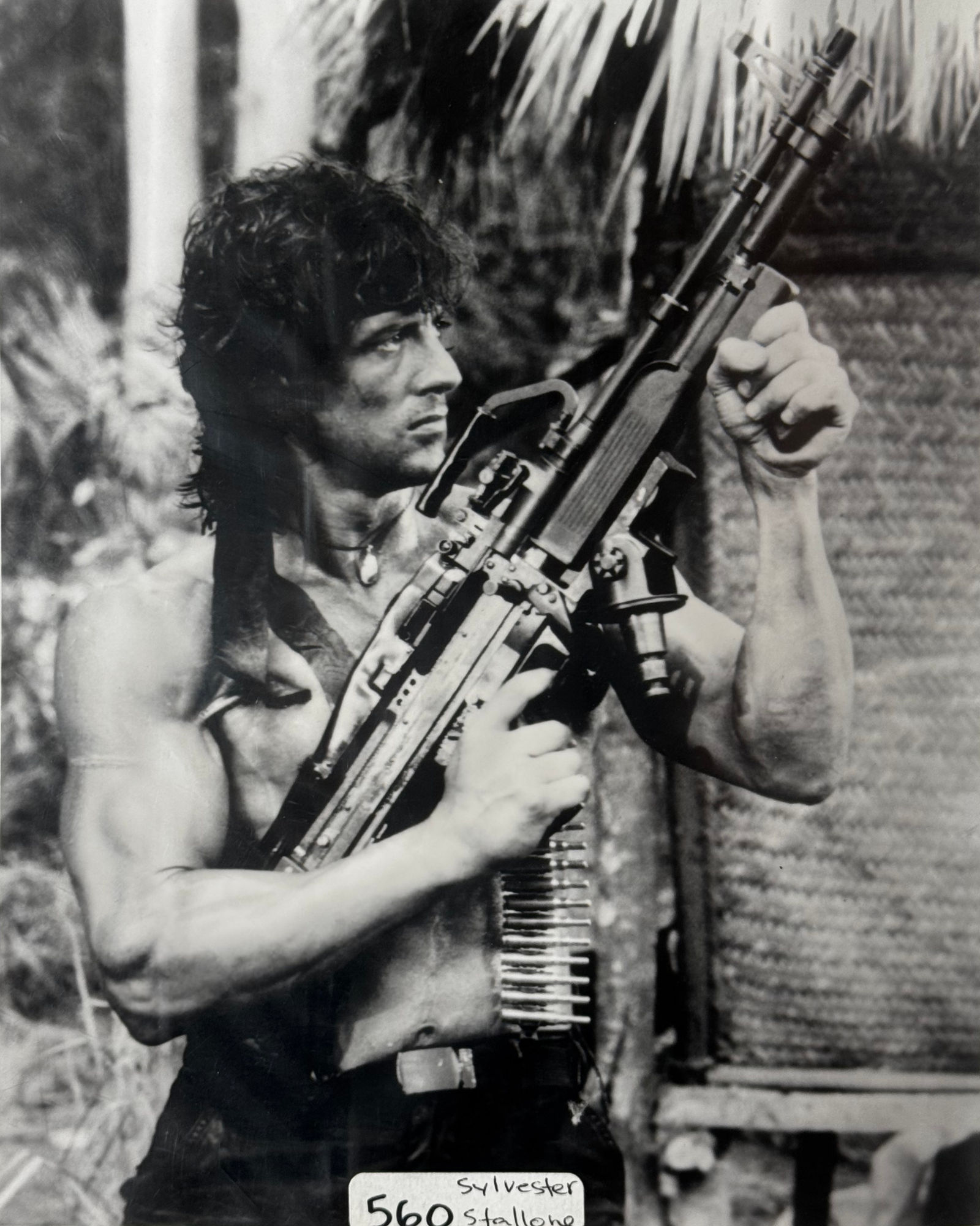 Celebrity Photo Sylvester Stallone