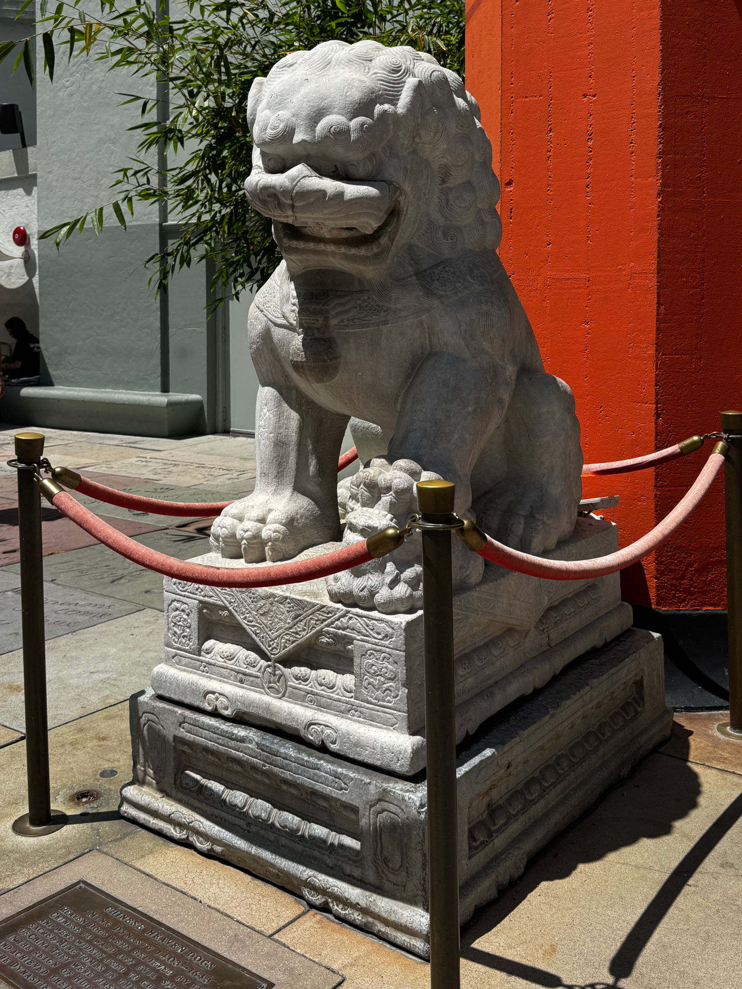 TCL Chinese Theatre Female Chinese Heaven Dog Left
