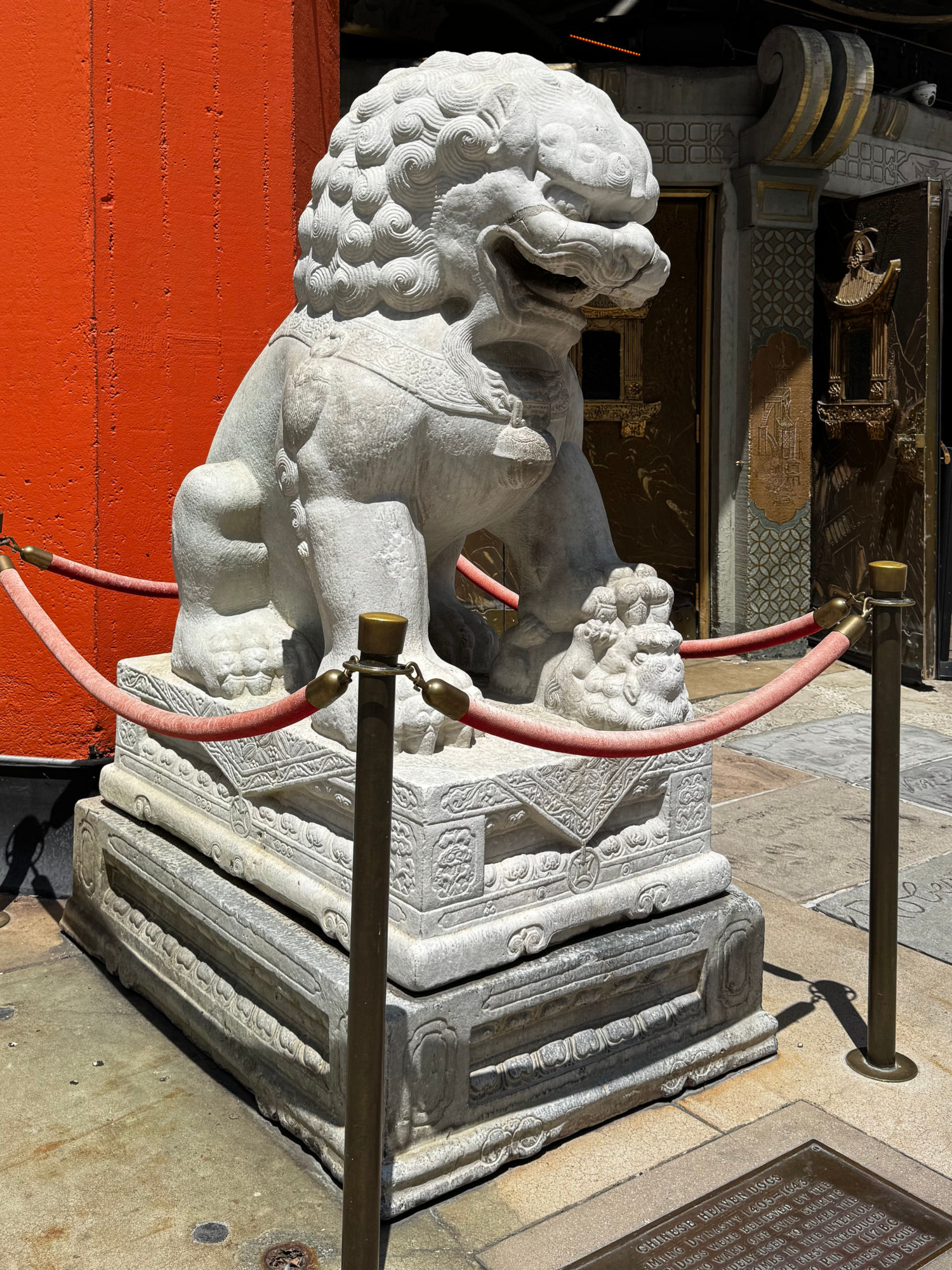 TCL Chinese Theatre Female Chinese Heaven Dog Right