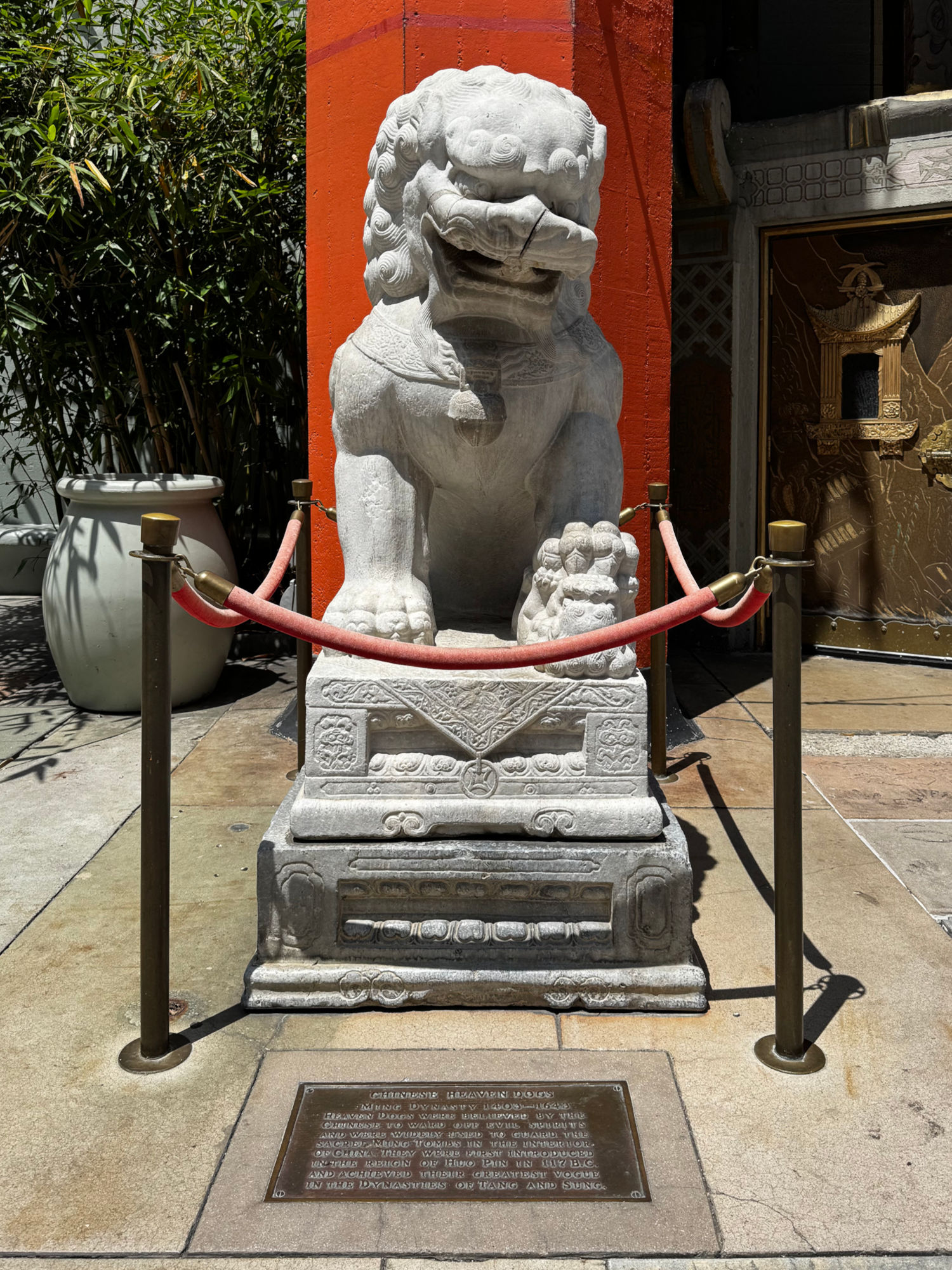 TCL Chinese Theatre Female Chinese Heaven Dog