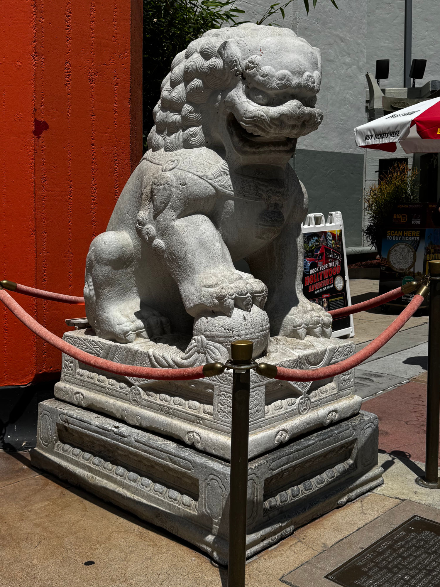 TCL Chinese Theatre Male Chinese Heaven Dog Right