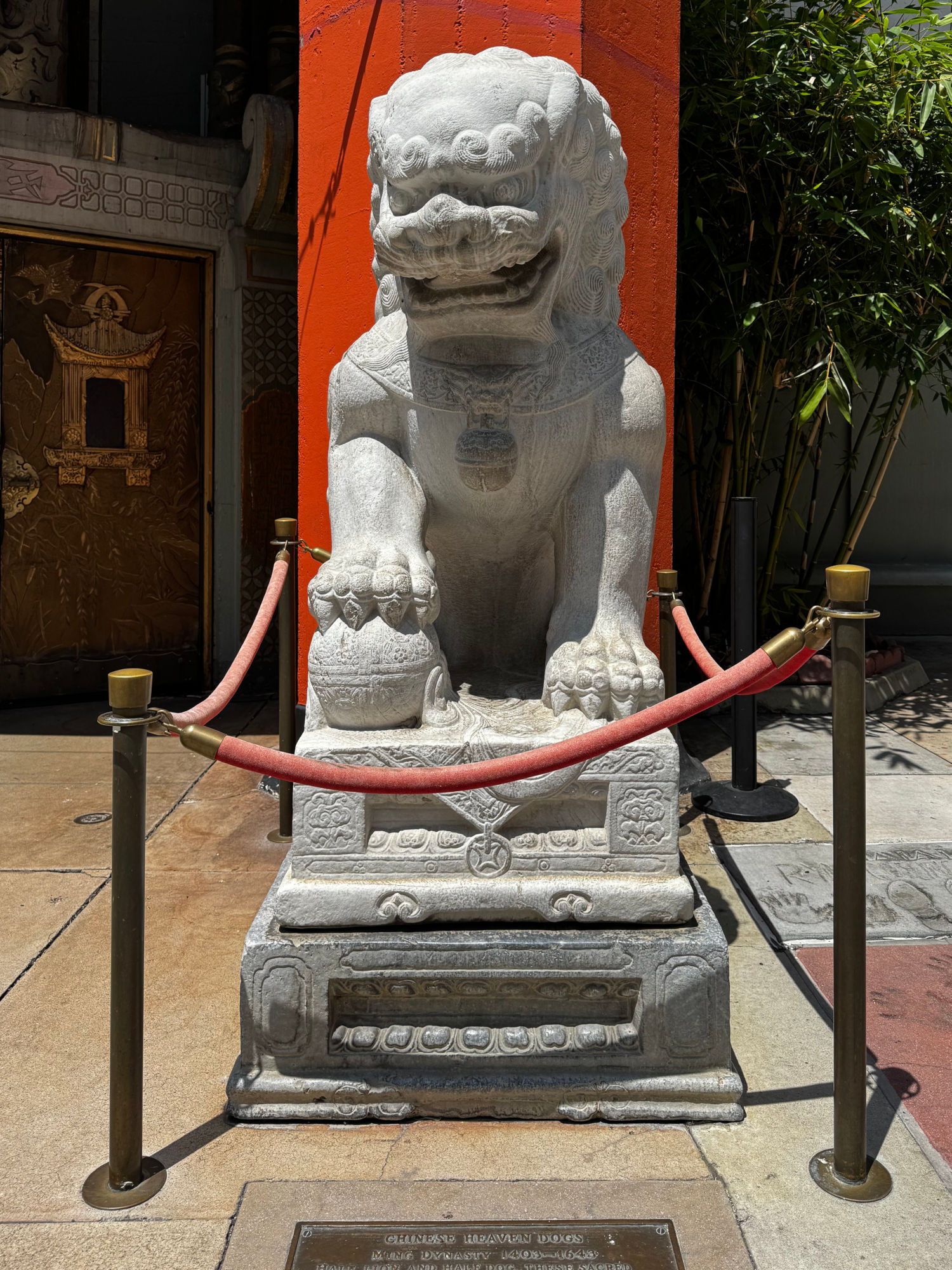 TCL Chinese Theatre Male Chinese Heaven Dog