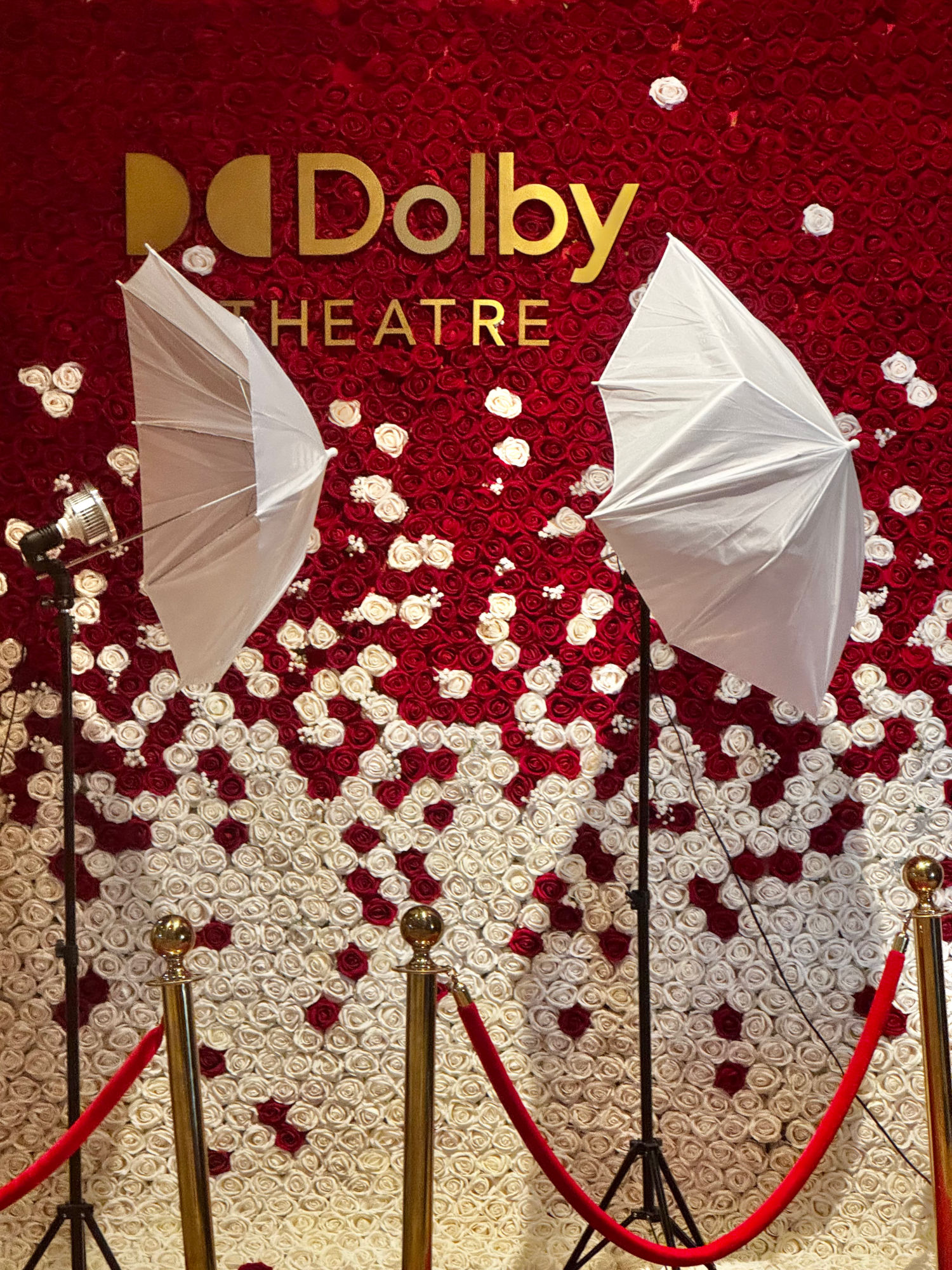 Dolby Theatre Selfie Spot