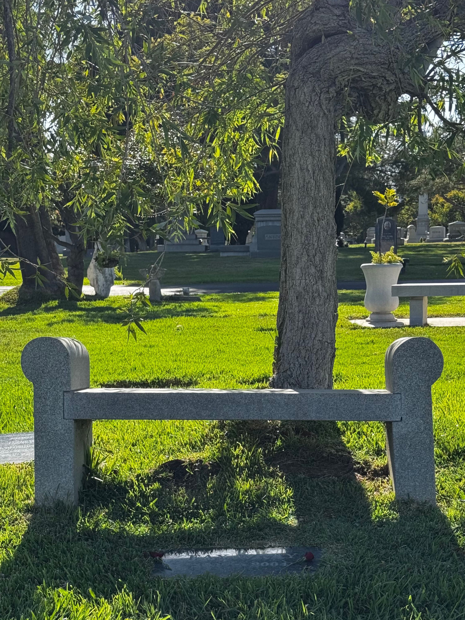 Fay Wray Grave