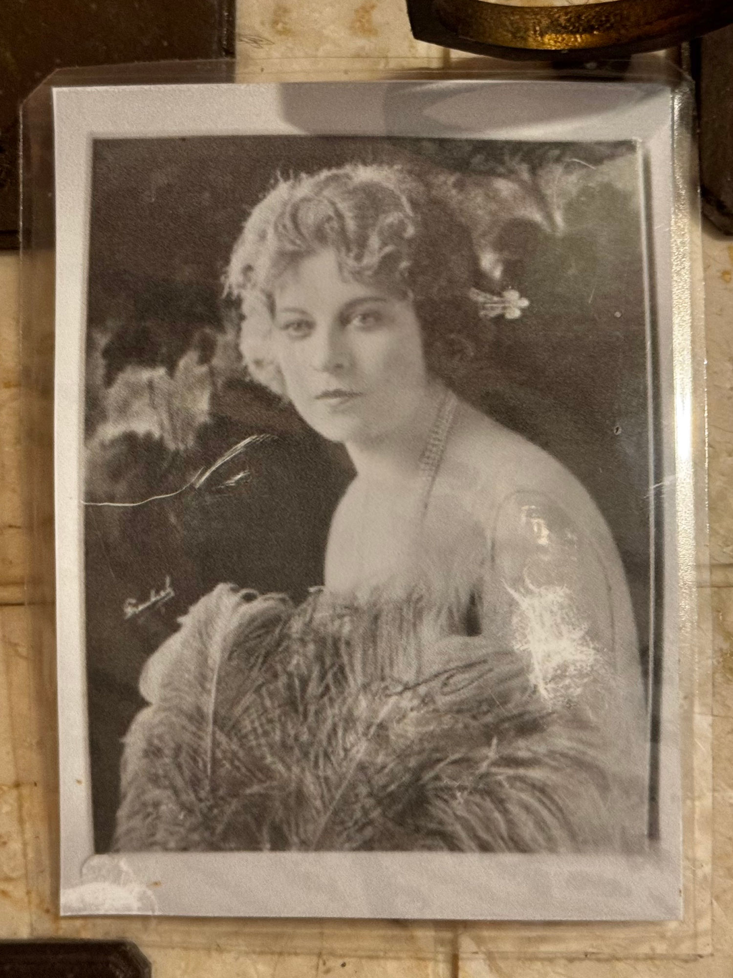Gertrude Irene Astor Photo