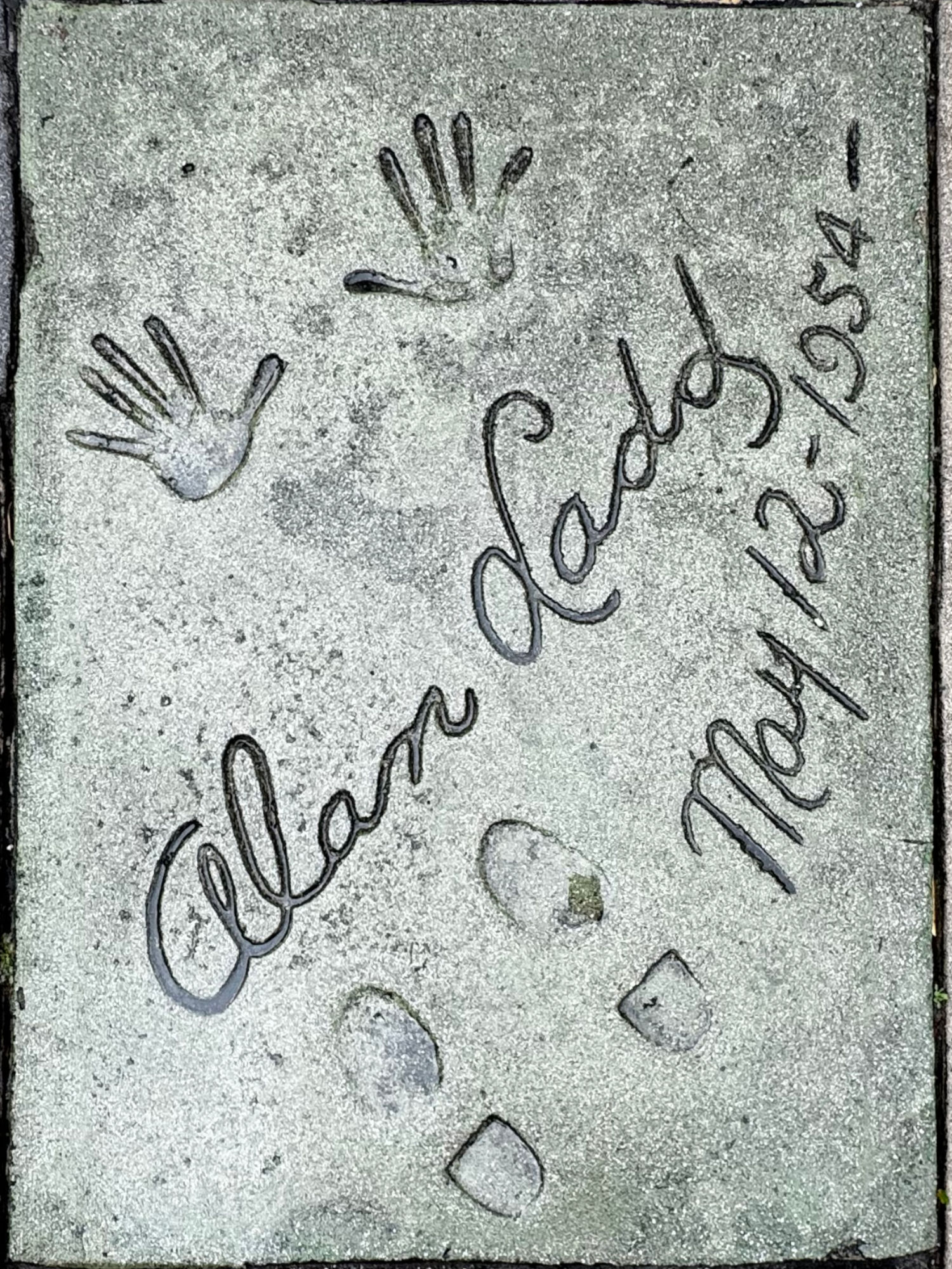 Grauman's Chinese Theatre Alan Ladd