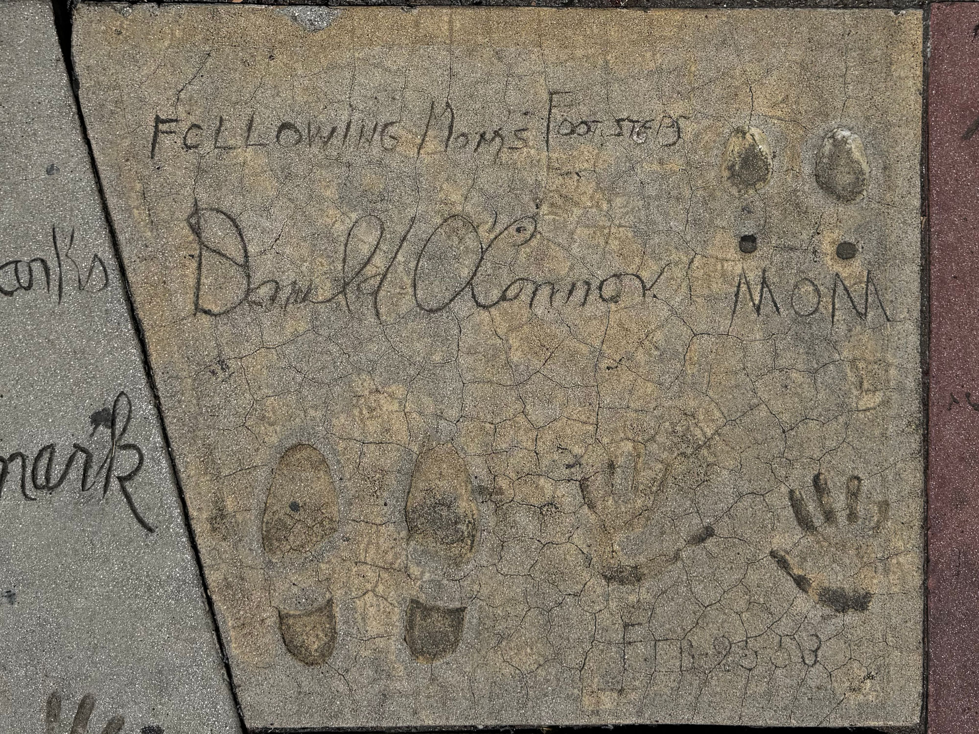 Grauman's Chinese Theatre Donald O'Connor