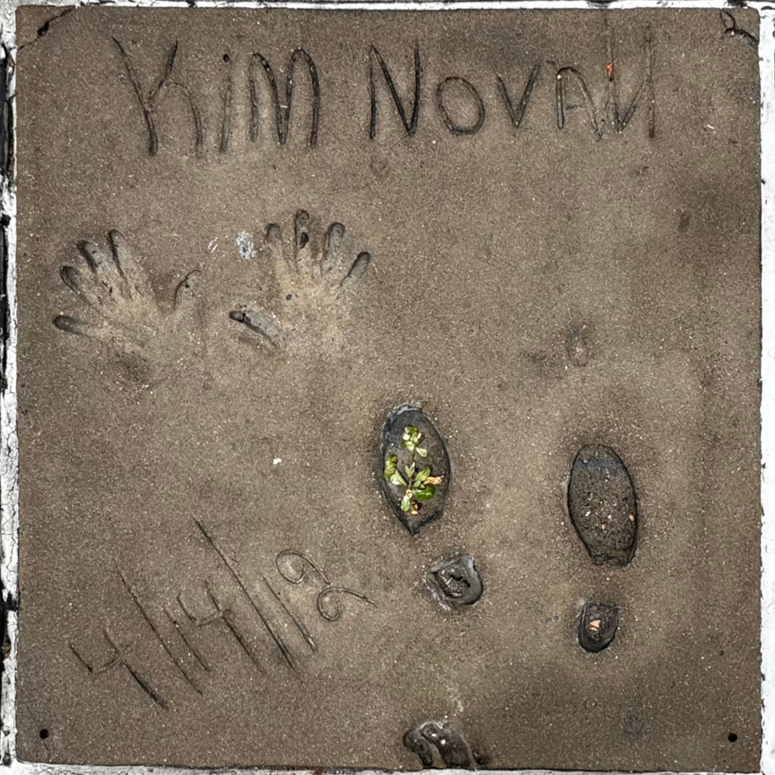 Grauman's Chinese Theatre Kim Novak