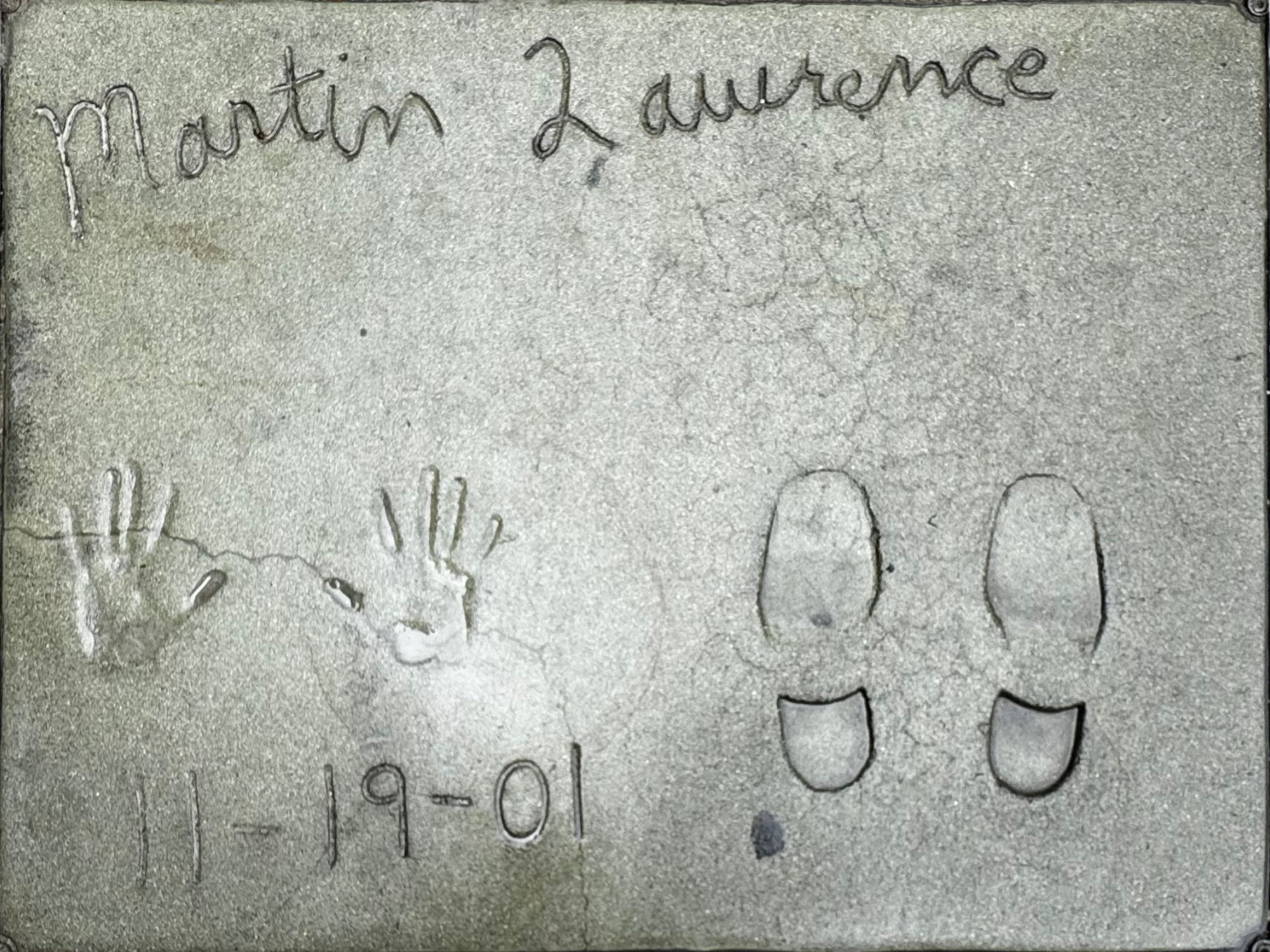 Grauman's Chinese Theatre Martin Lawrence
