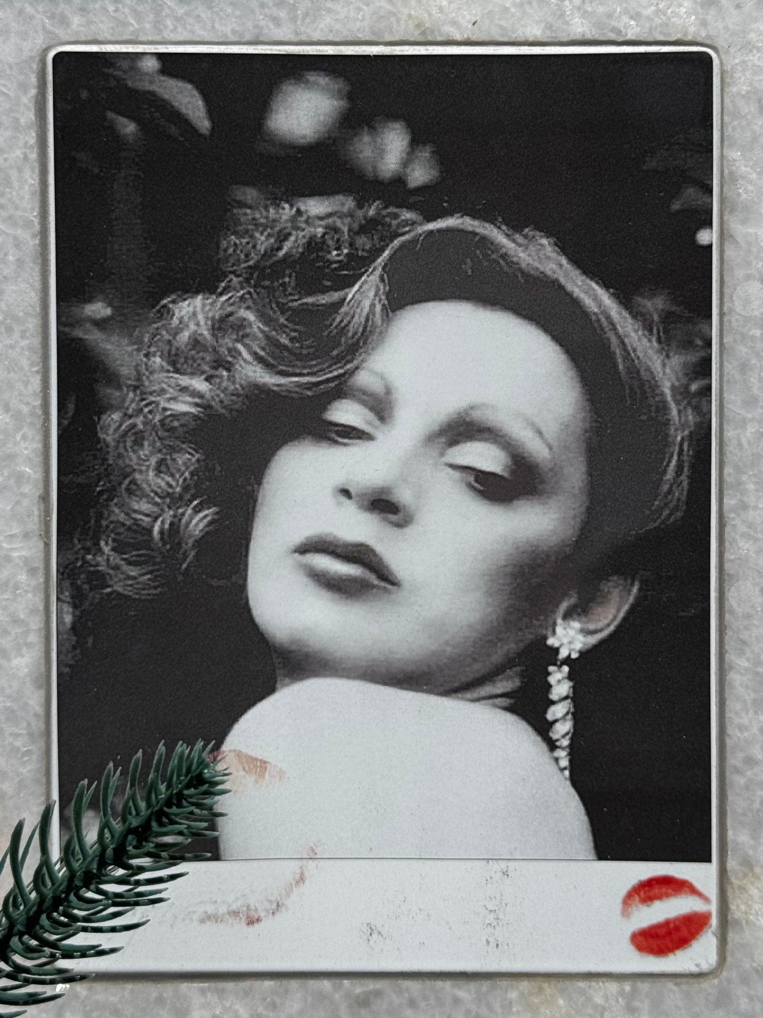Holly Woodlawn Photo