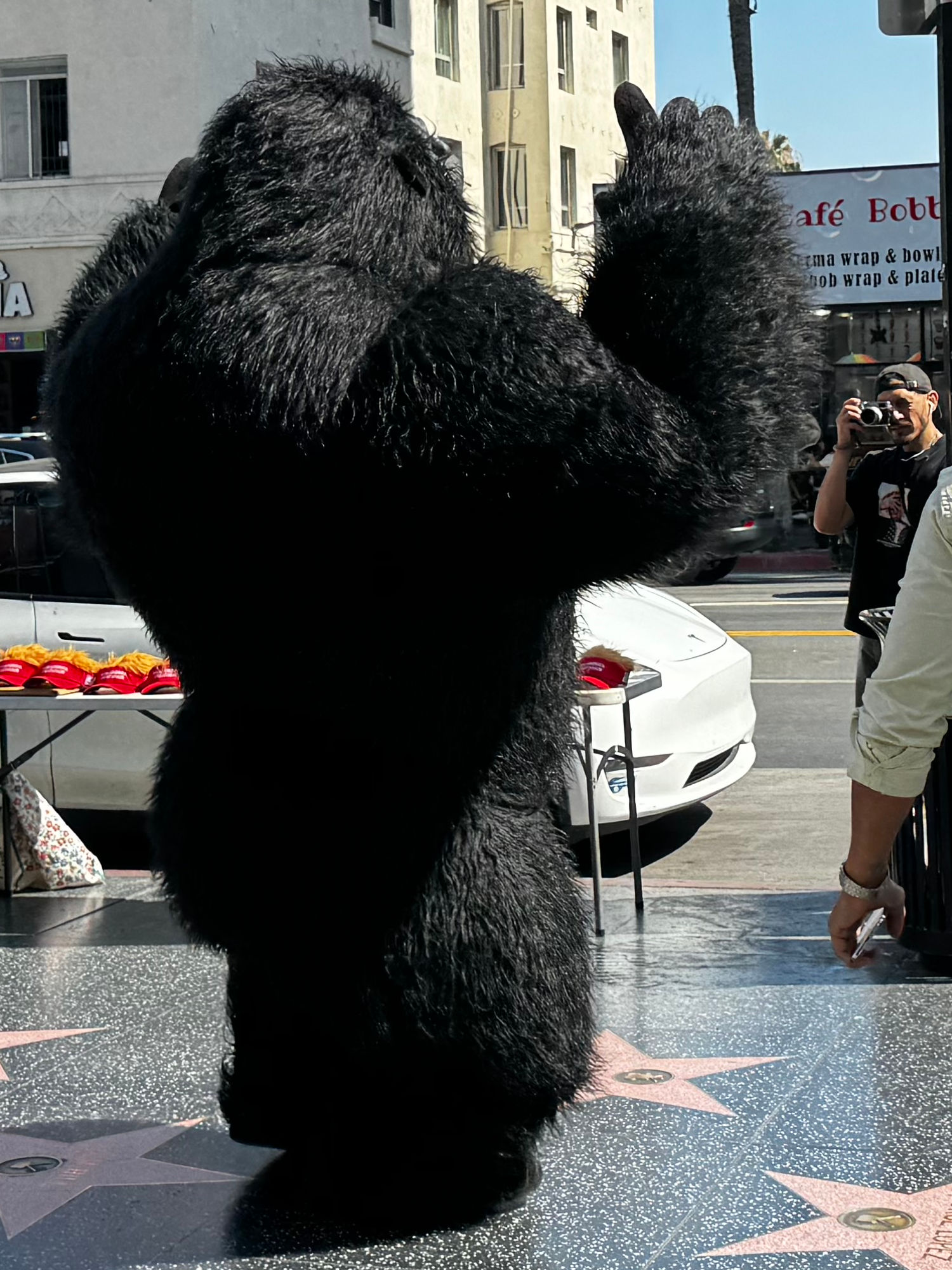 Hollywood Blvd King Kong
