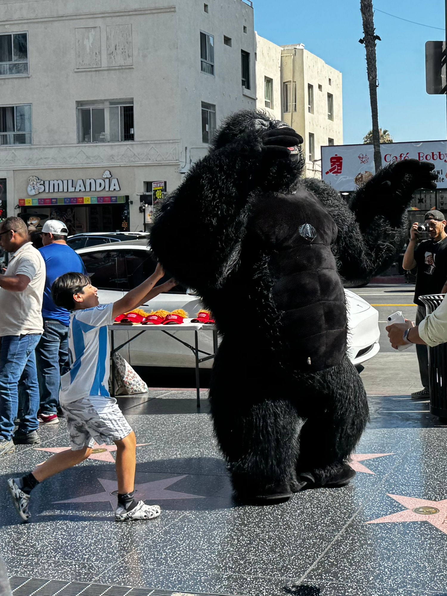 Hollywood Blvd King Kong 2