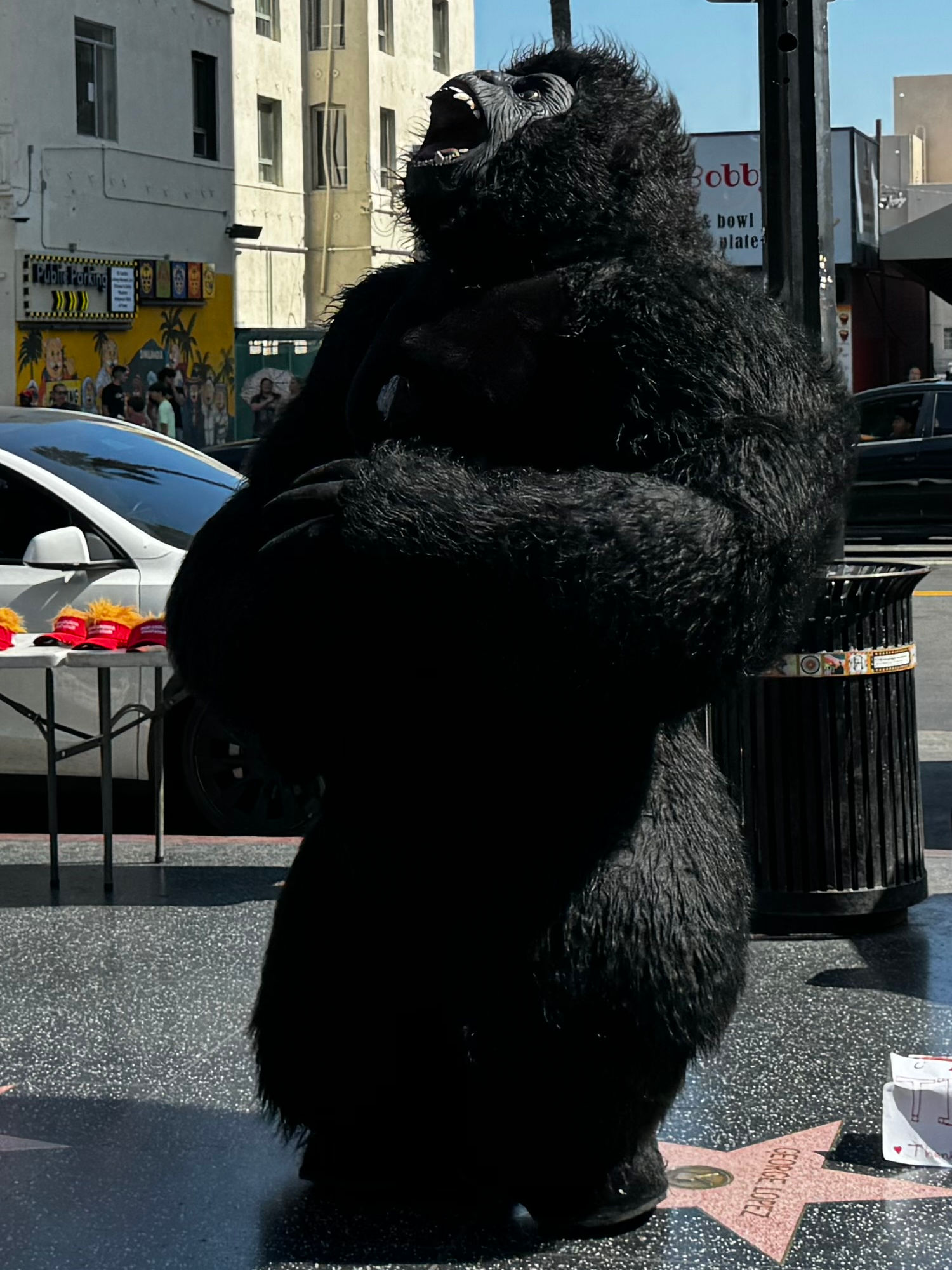 Hollywood Blvd King Kong 4
