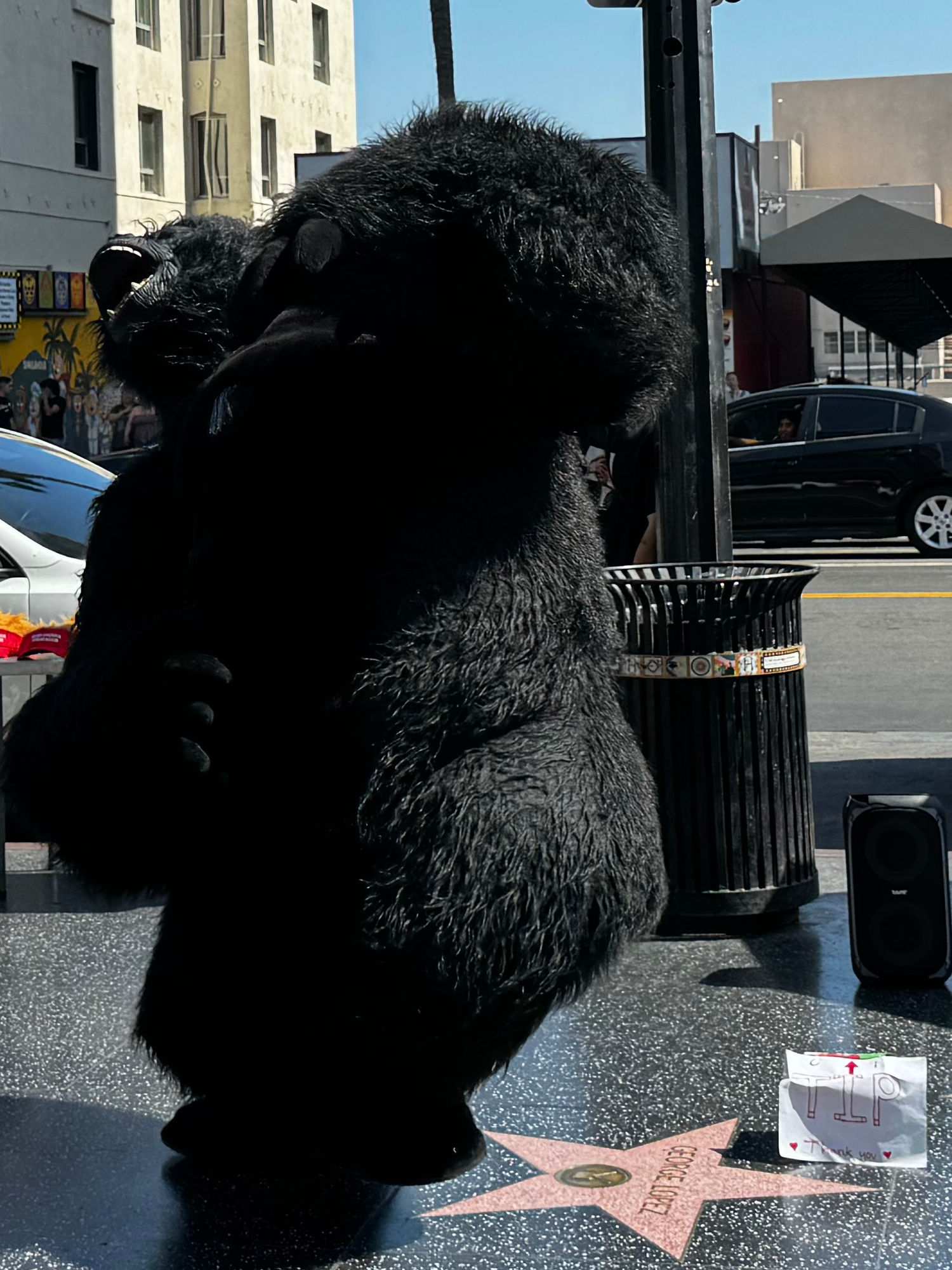 Hollywood Blvd King Kong 5