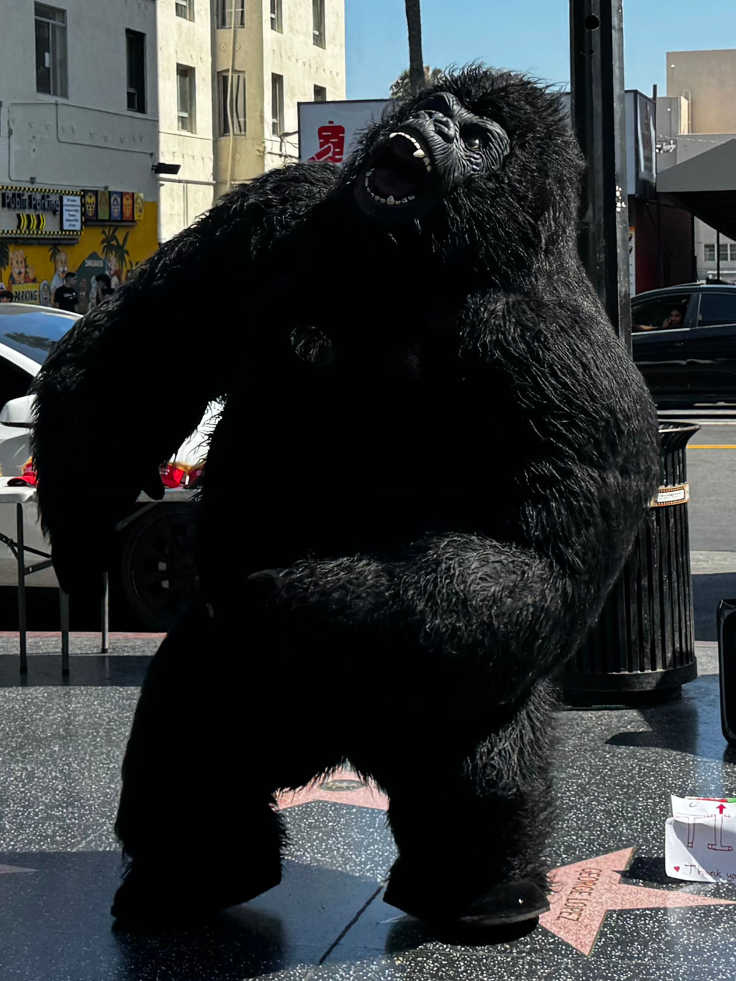 Hollywood Blvd King Kong 6