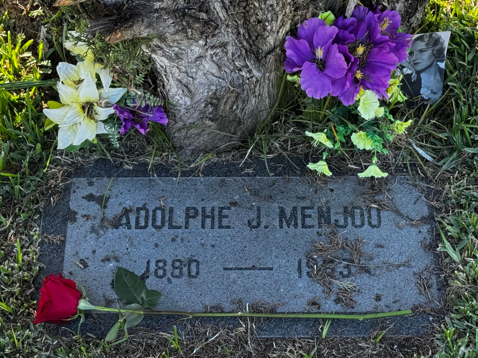 Hollywood Forever Cemetery Adolphe Jean Menjou