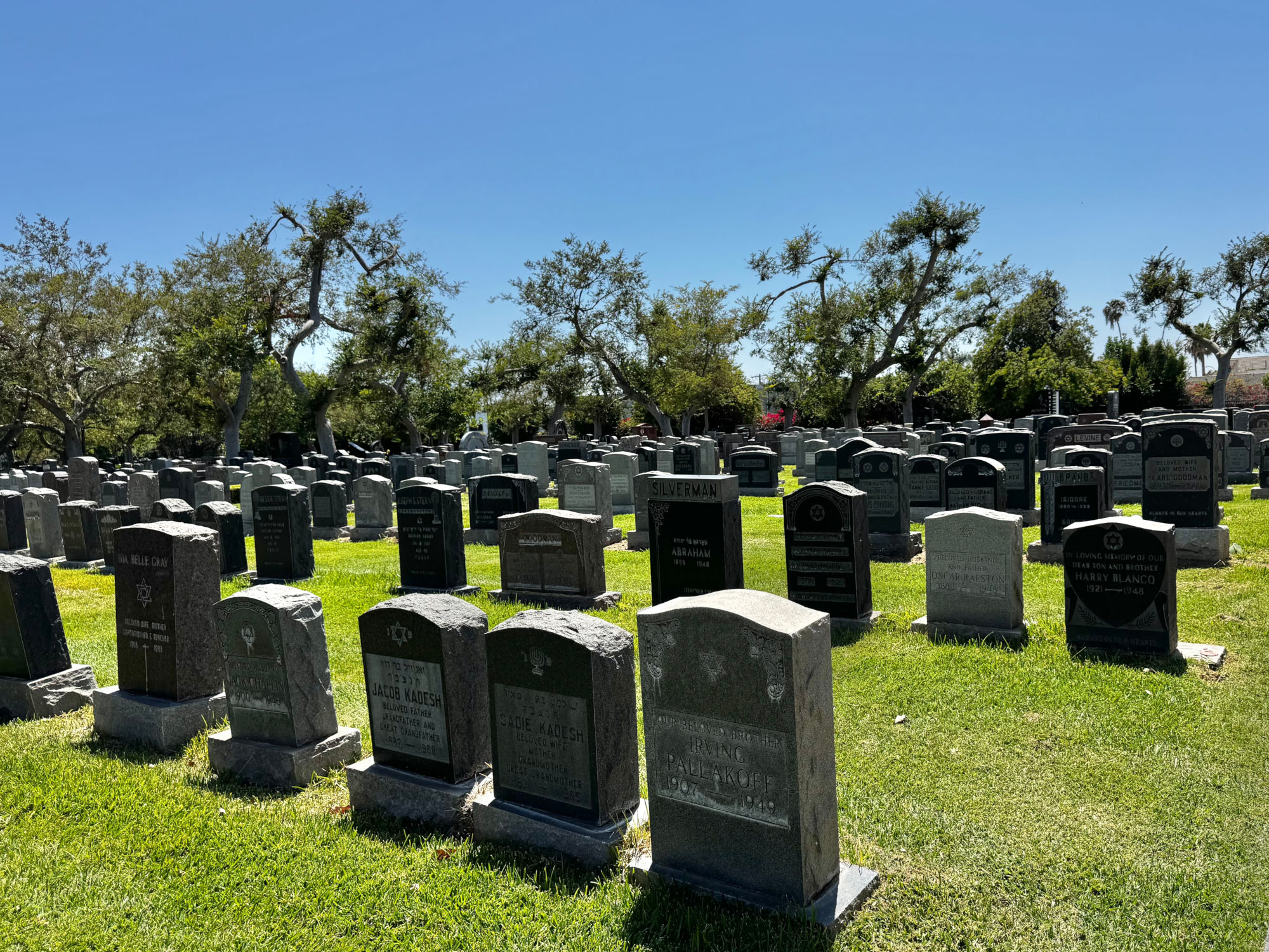 Hollywood Forever Cemetery Beth Olam Cemetery