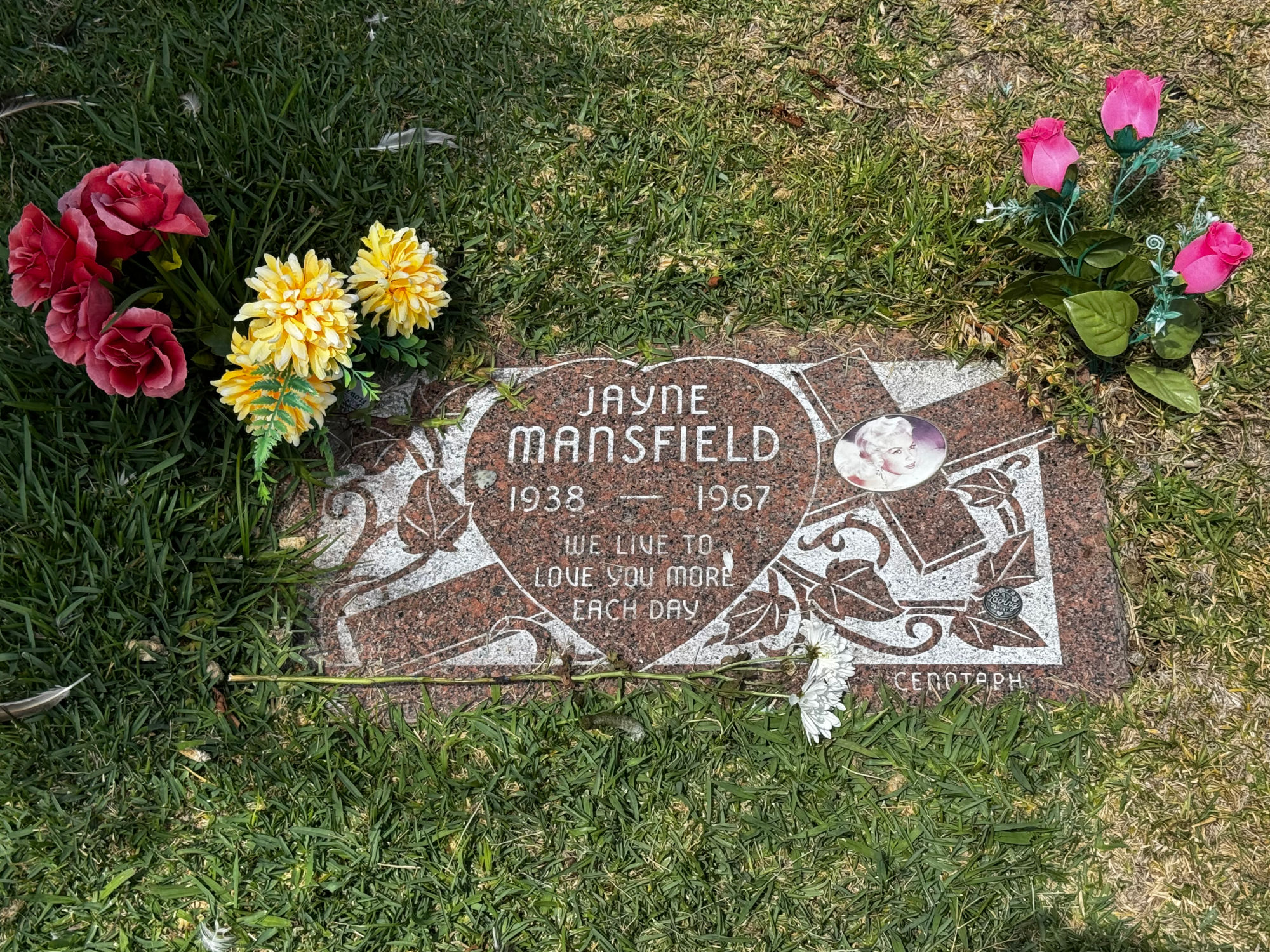 Hollywood Forever Cemetery Vera Jayne Palmer