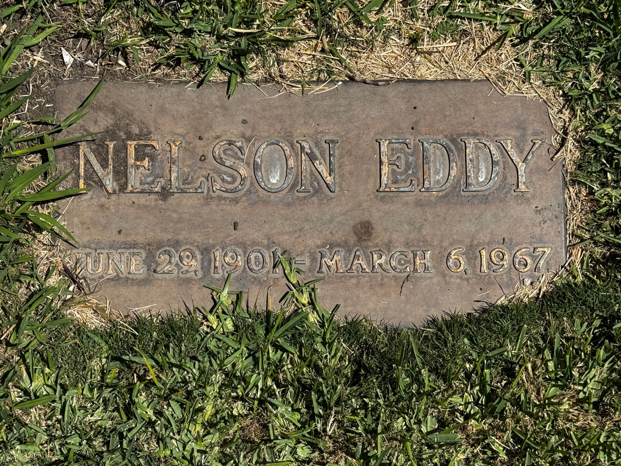 Hollywood Forever Cemetery Nelson Ackerman Eddy
