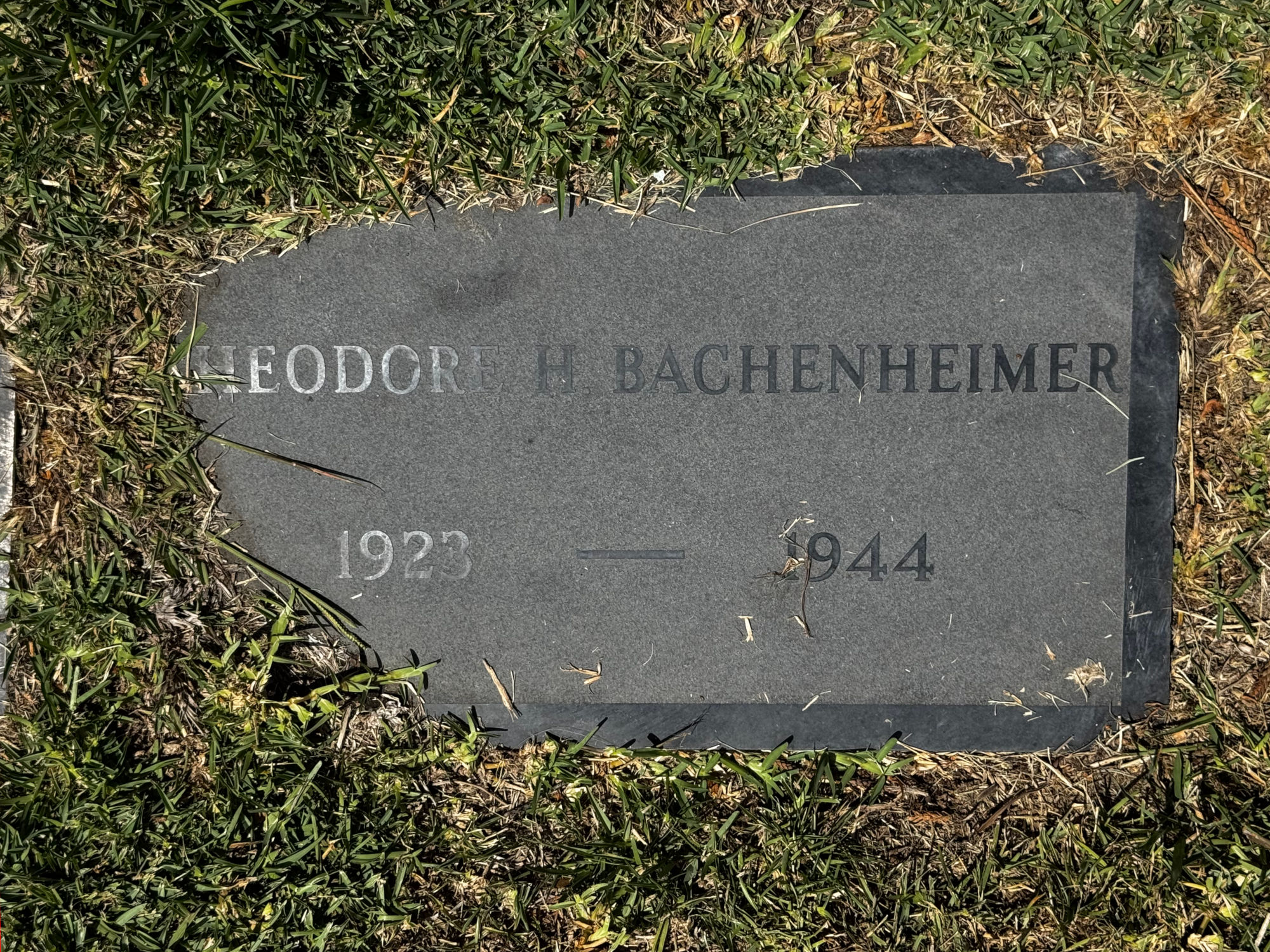 Hollywood Forever Cemetery Theodore Herman Bachenheimer