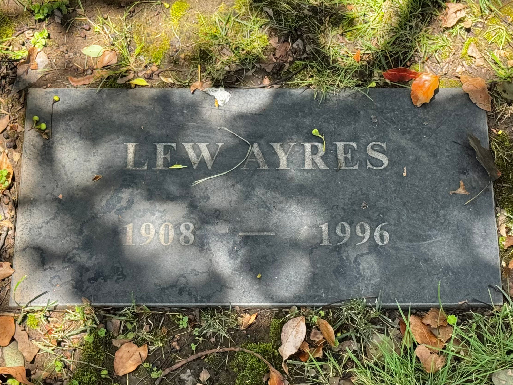Westwood Village Memorial Park Lew Ayres