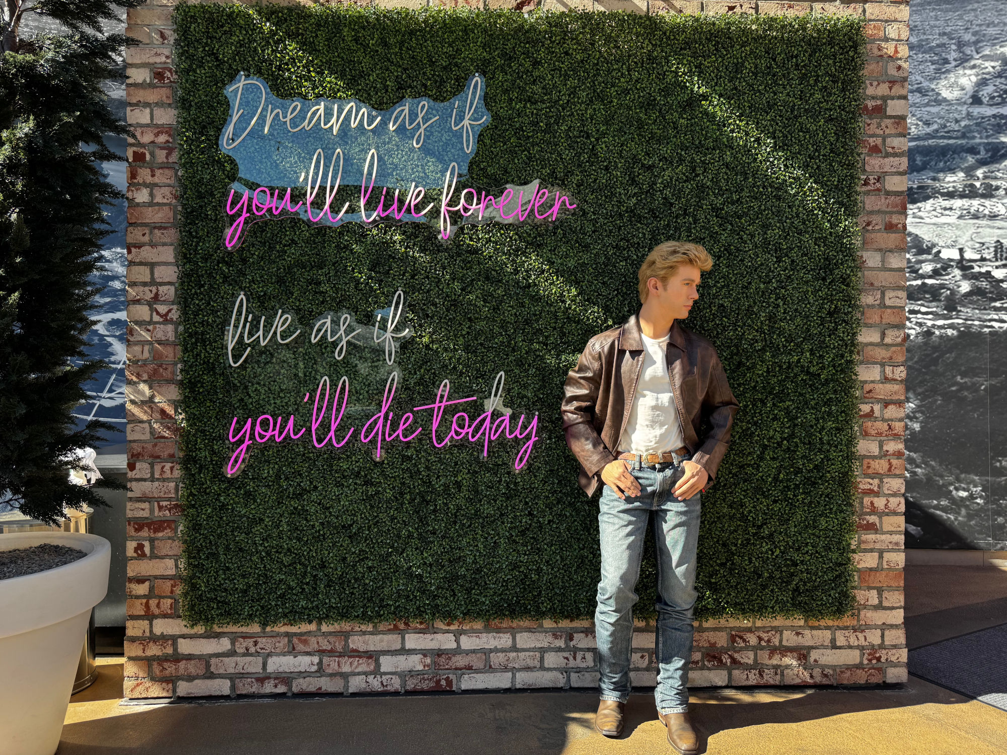 The Hollywood Rooftop James Dean