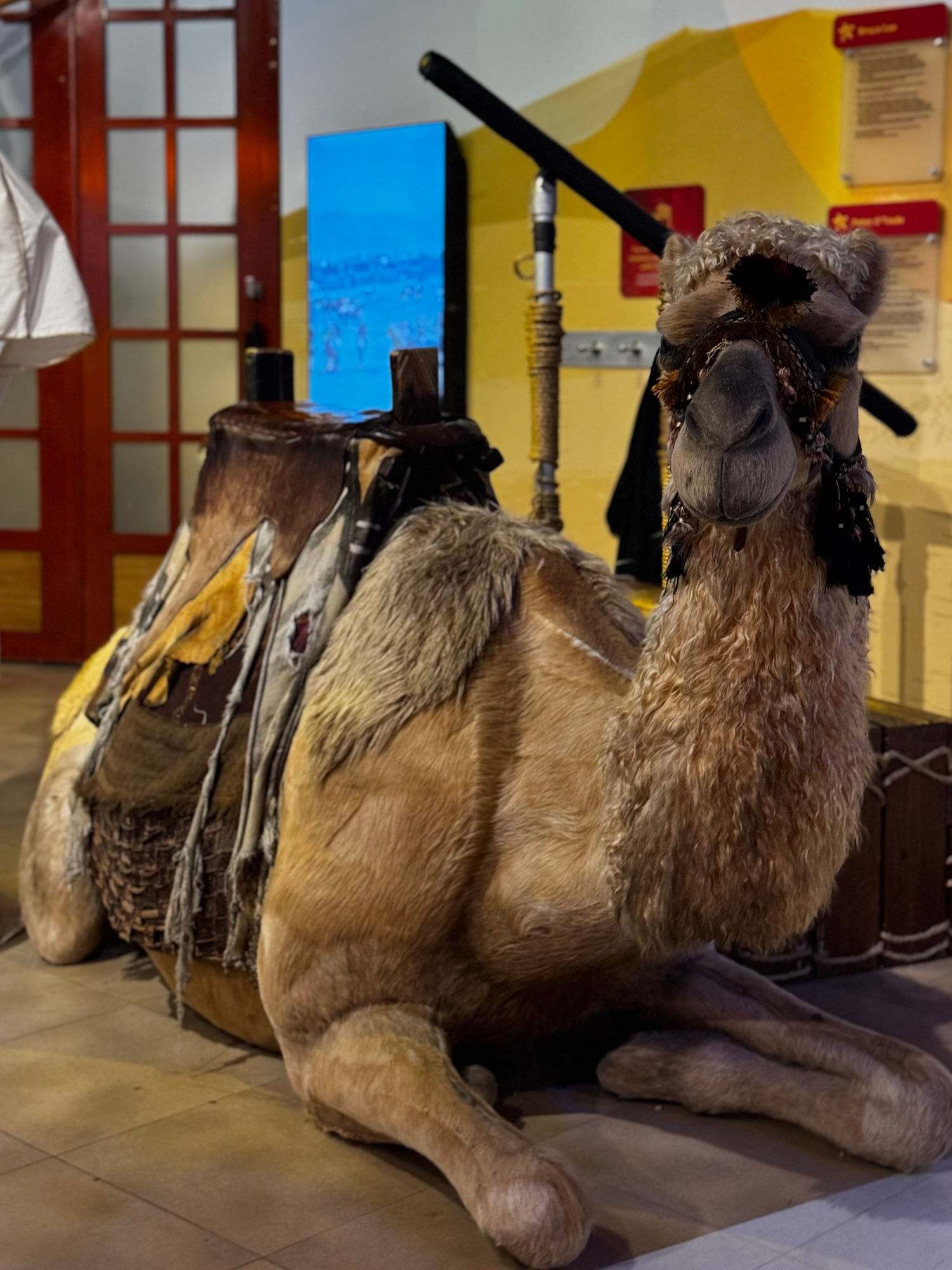 Madame Tussauds Lawrence of Arabia Camel