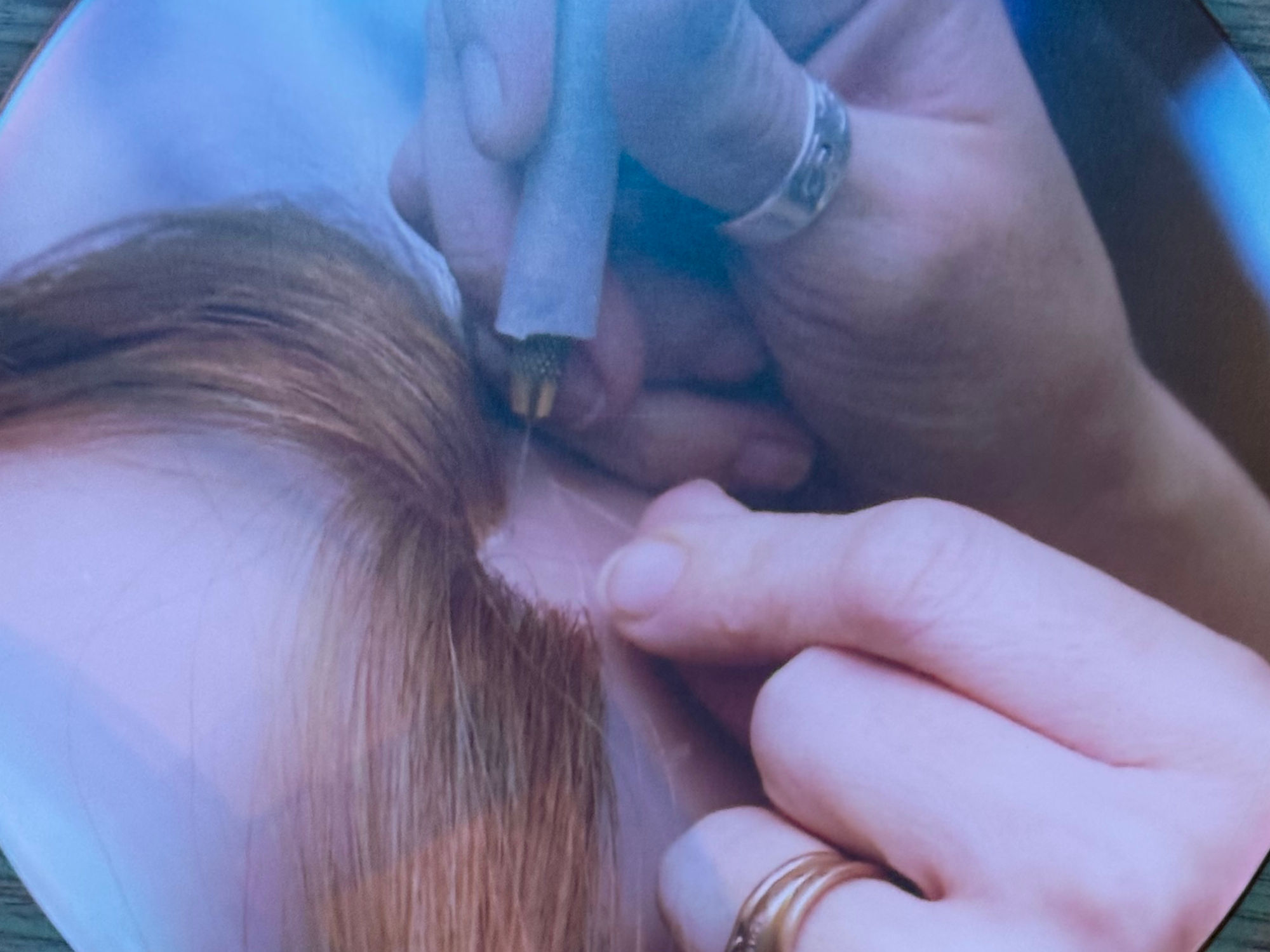 Madame Tussauds Wax Figure Hair