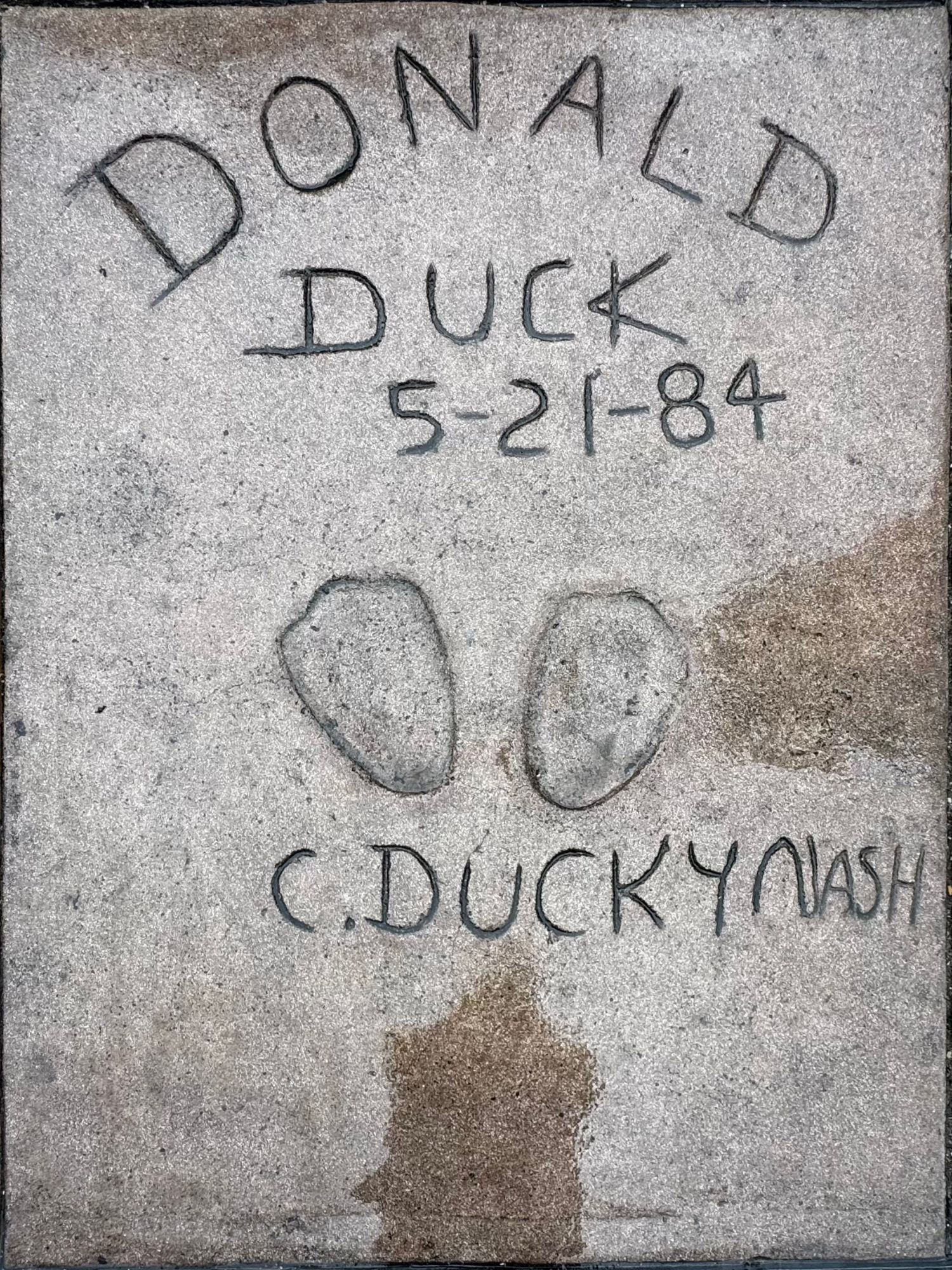 Mann's Chinese Theatre Donald Duck