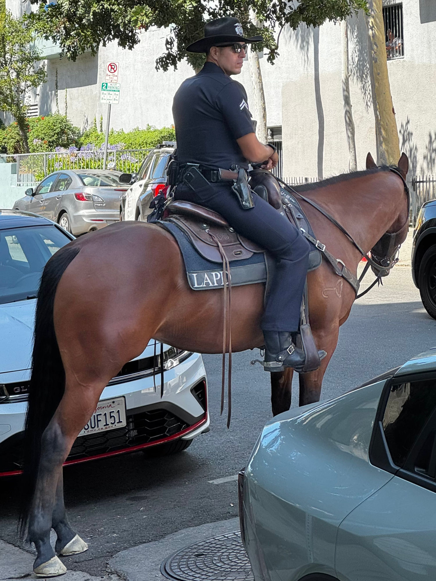 Mounted Police