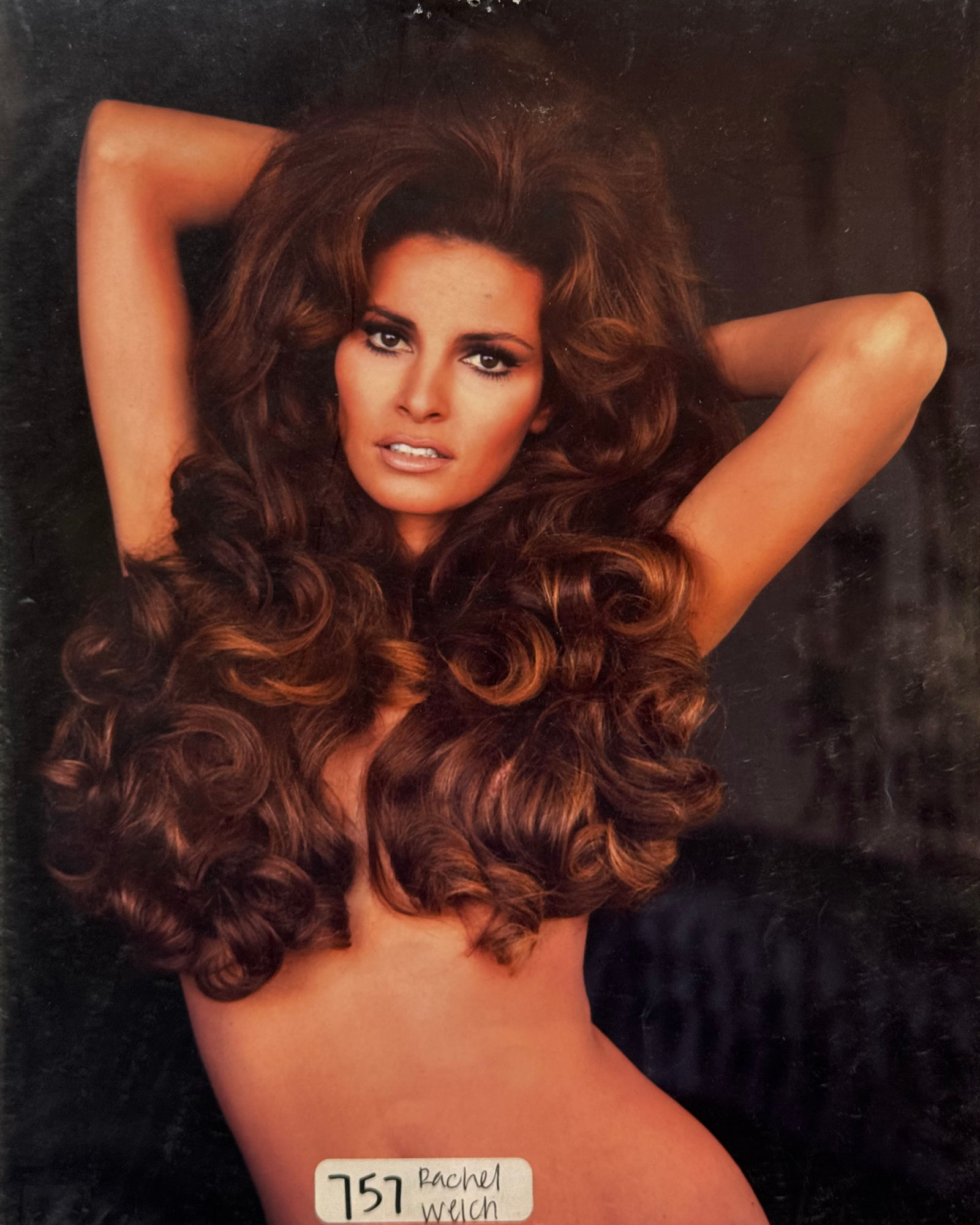 Photo Raquel Welch