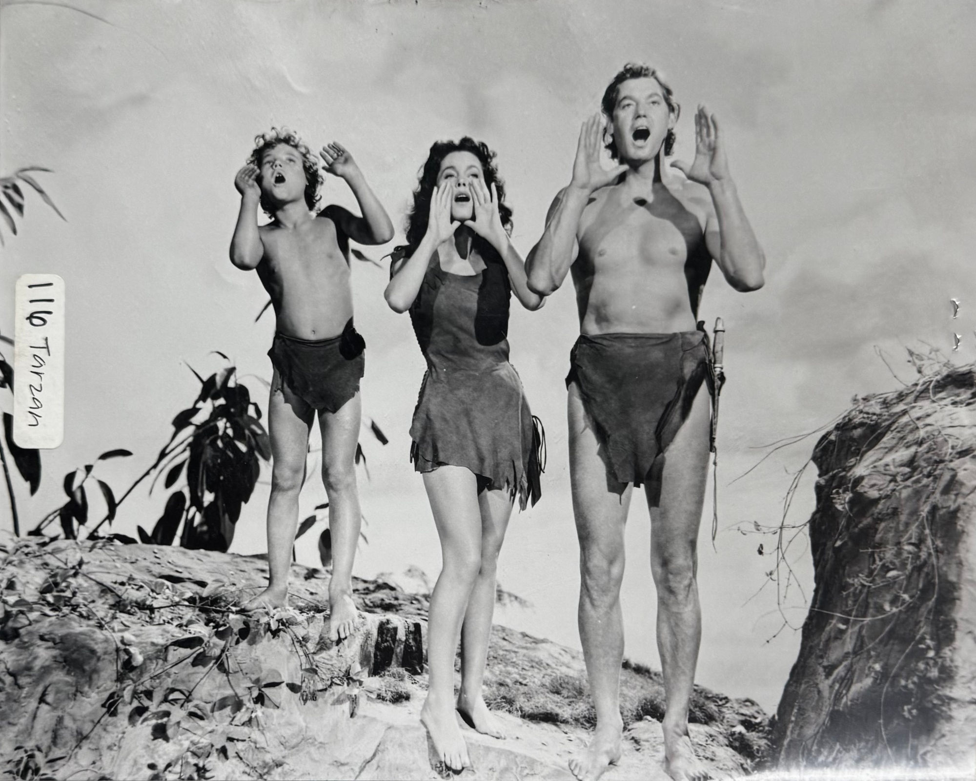 Photo Tarzan's Secret Treasure
