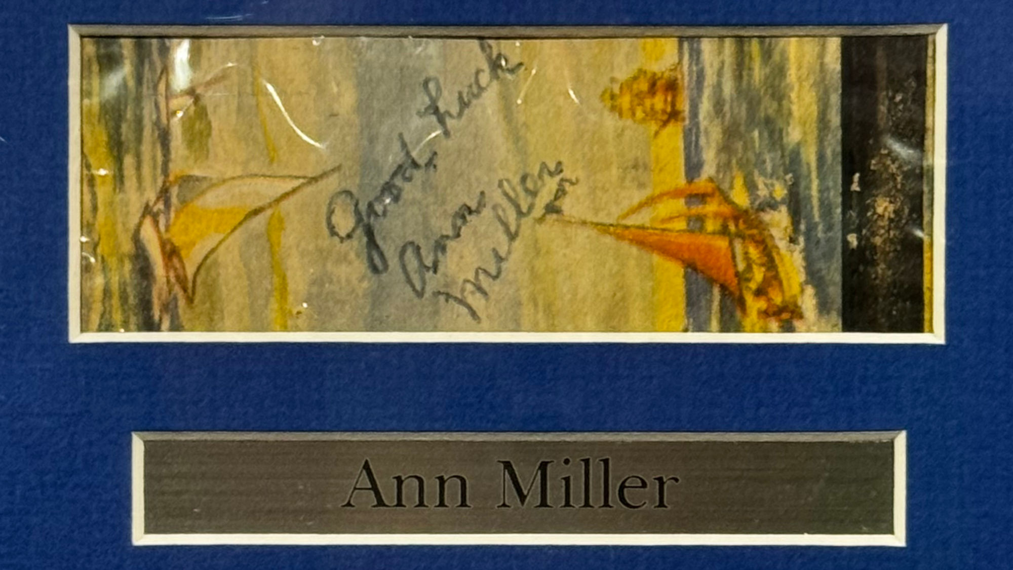 Ripley's Autographs Ann Miller