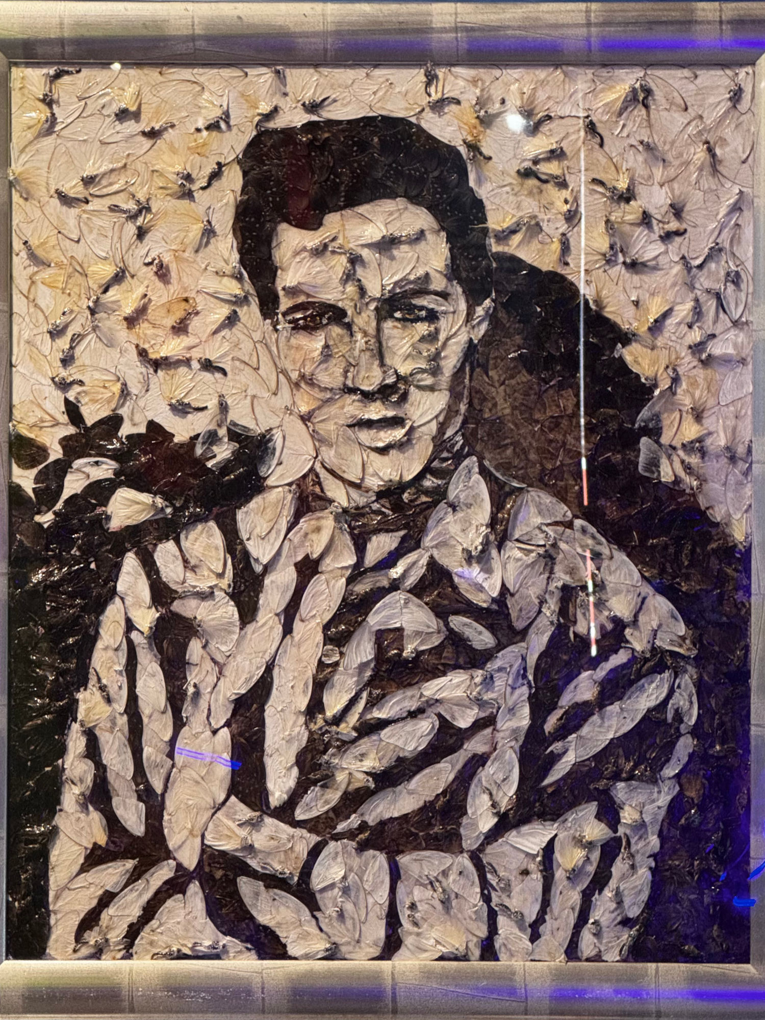 Ripley's Portraits Elvis Presley Butterfly Wings