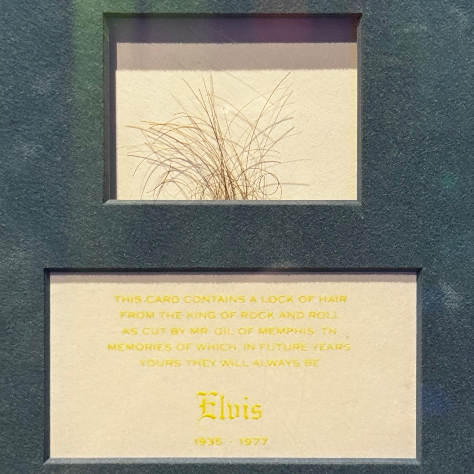 Ripley's Elvis Presley Hair Lock