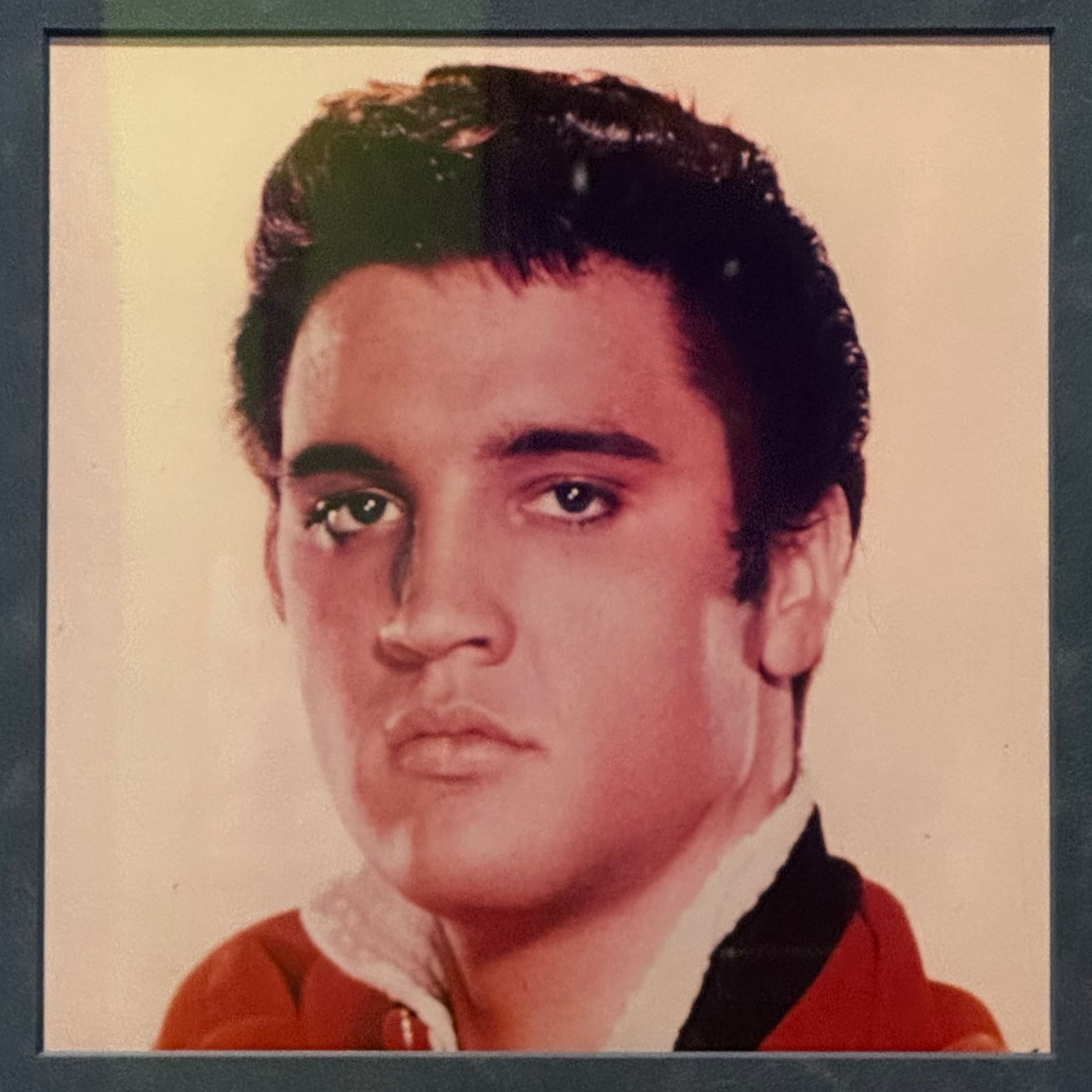 Ripley's Elvis Presley Hair