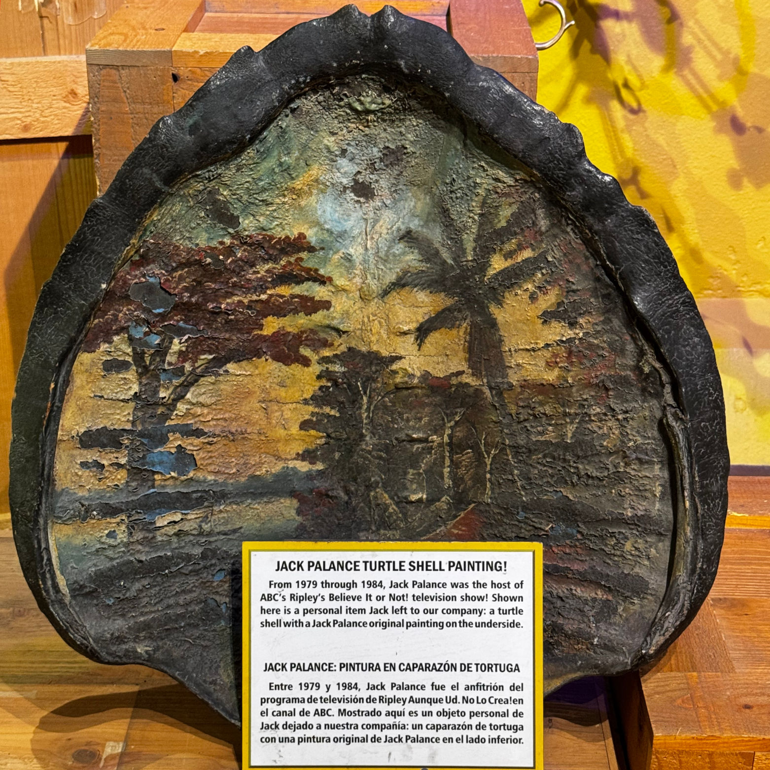 Ripley's Jack Palance Turtle Shell Painting