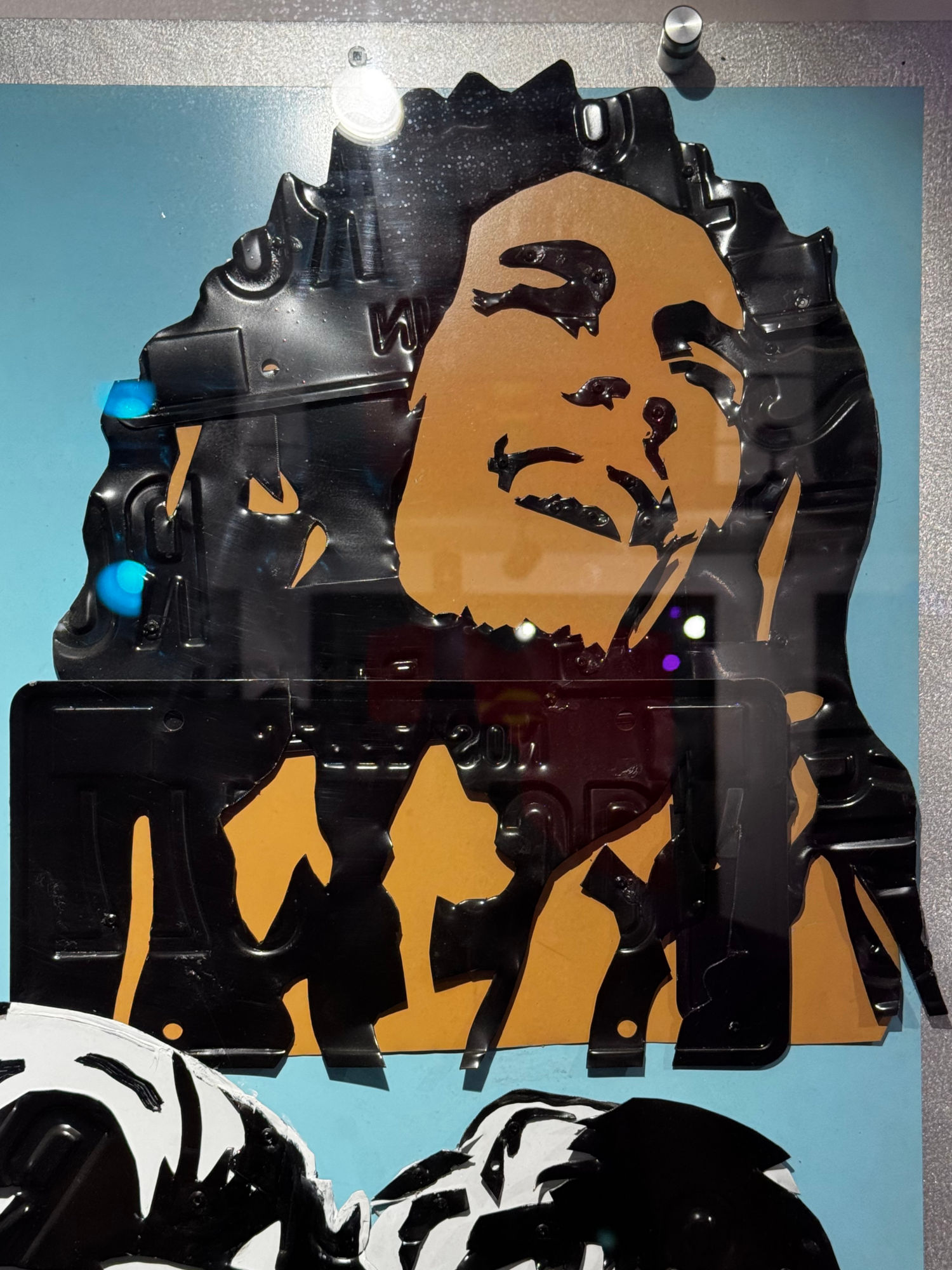 Ripley's Portraits Bob Marley