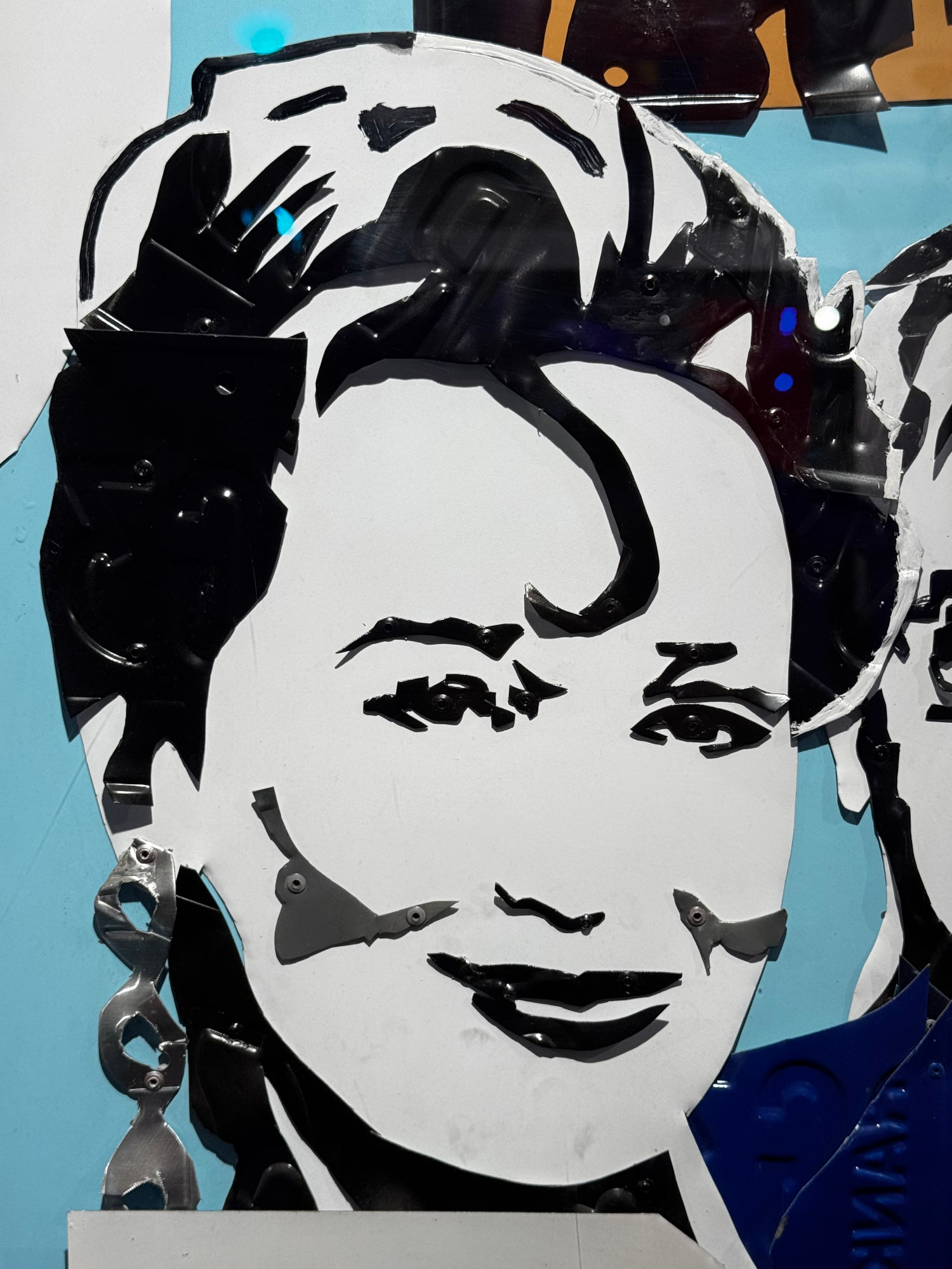 Ripley's Portraits Meryl Streep