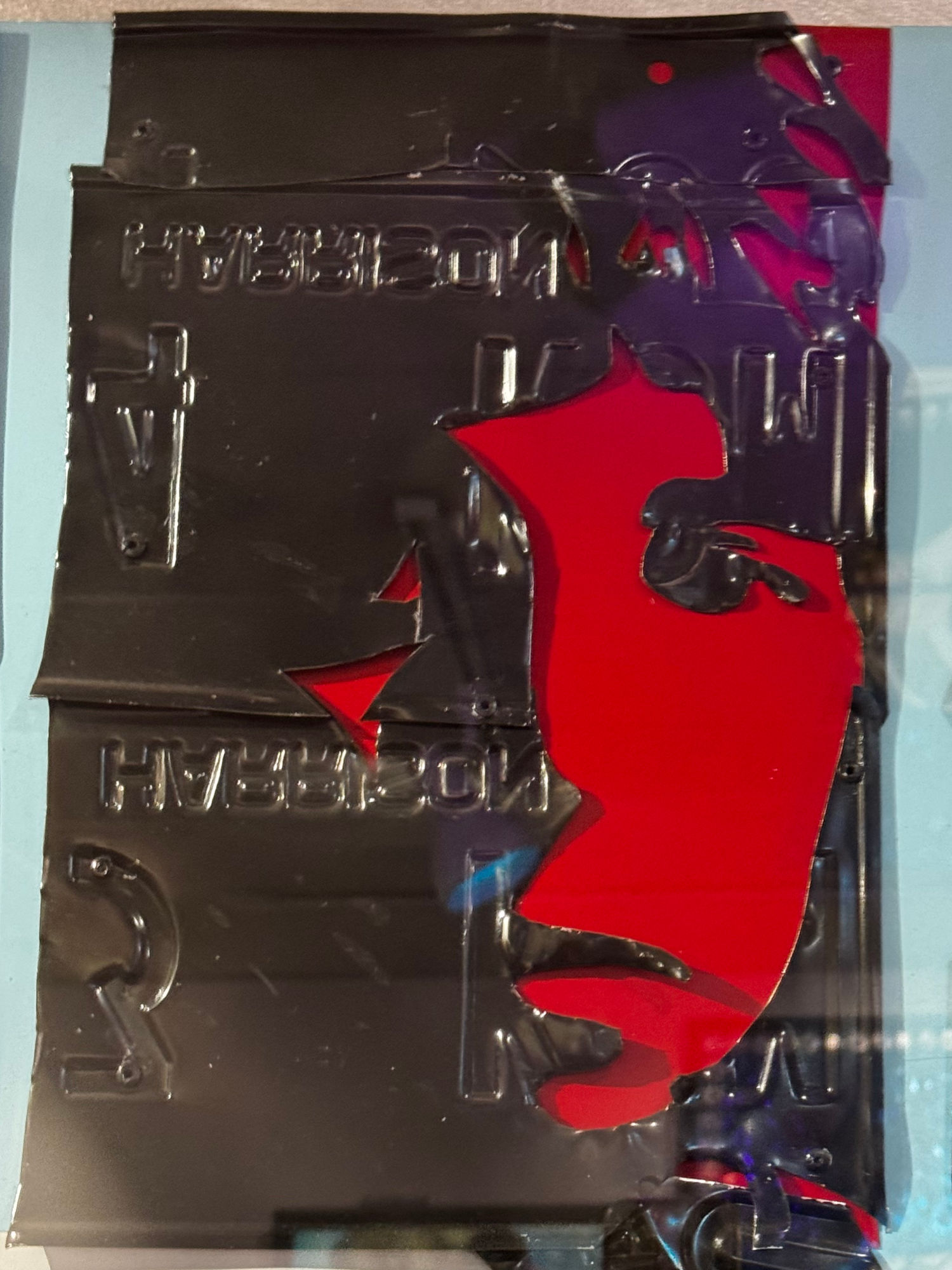 Ripley's Portraits Paul McCartney